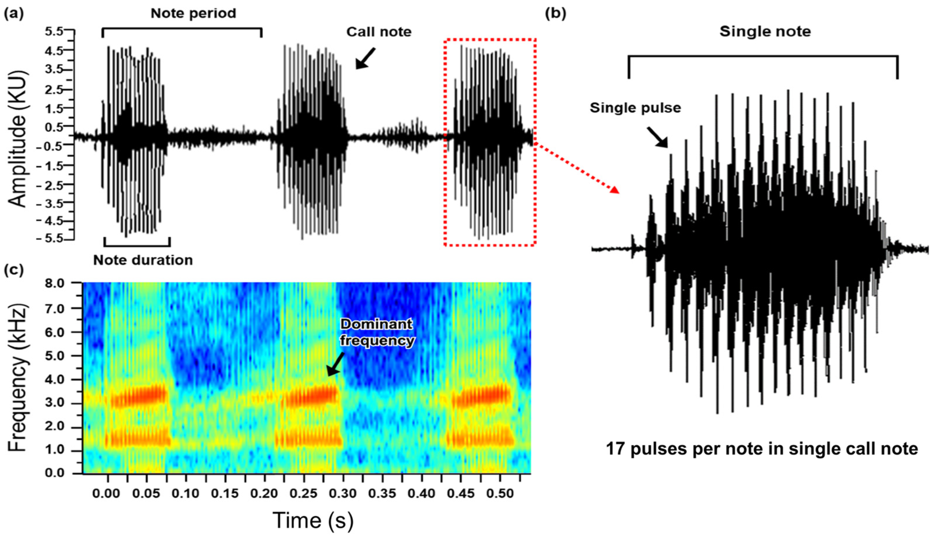 Animals 15 00154 g002