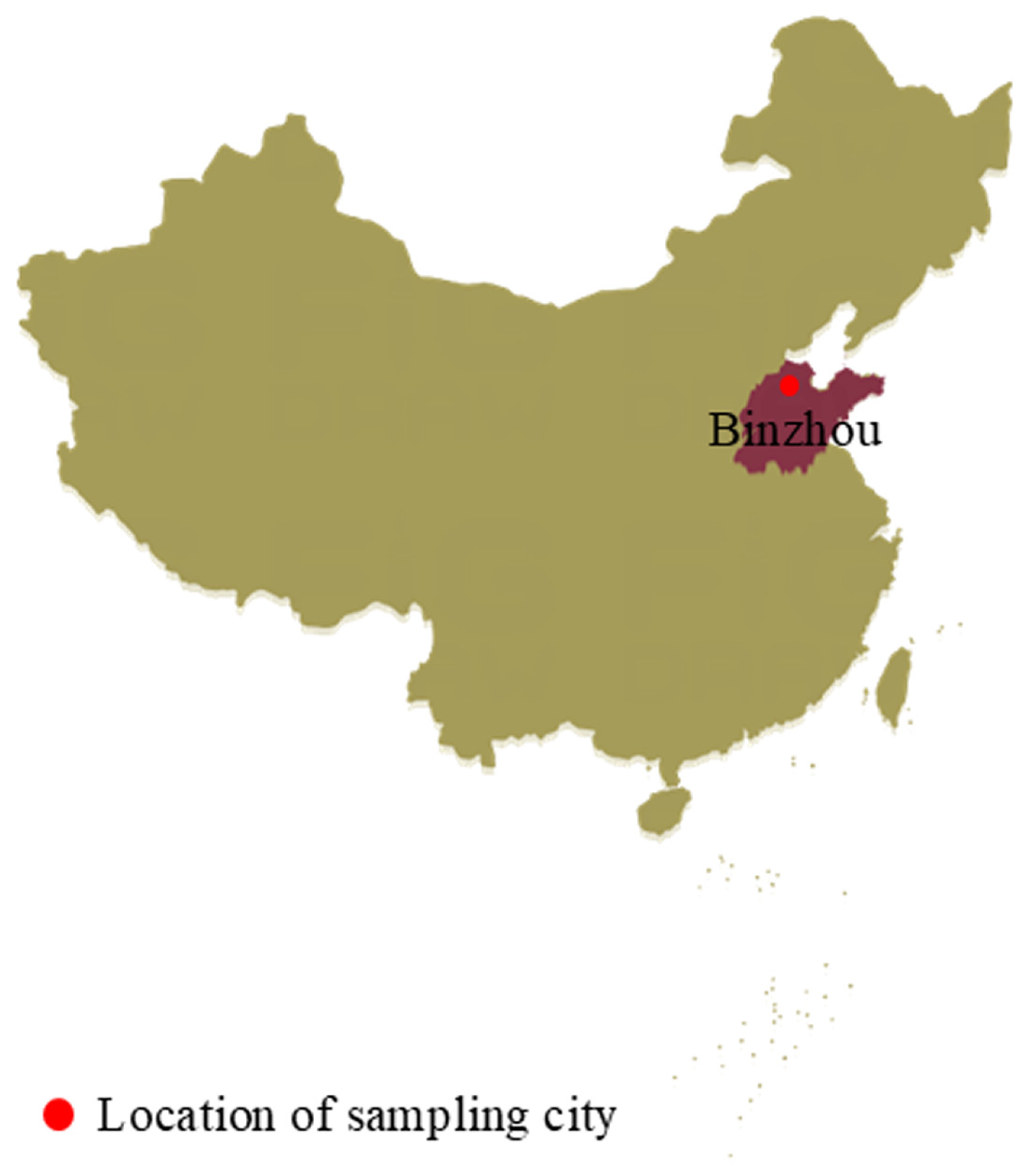 Animals 15 00156 g001