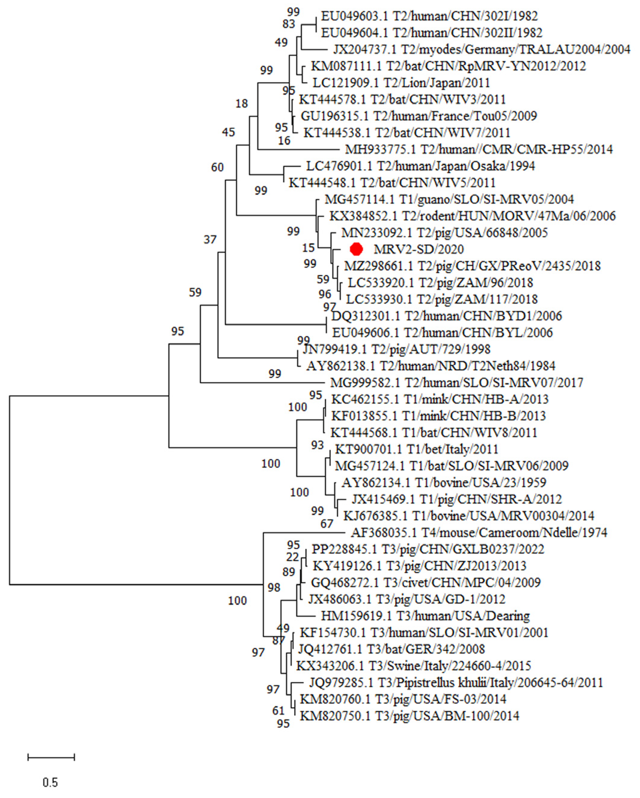 Animals 15 00156 g003