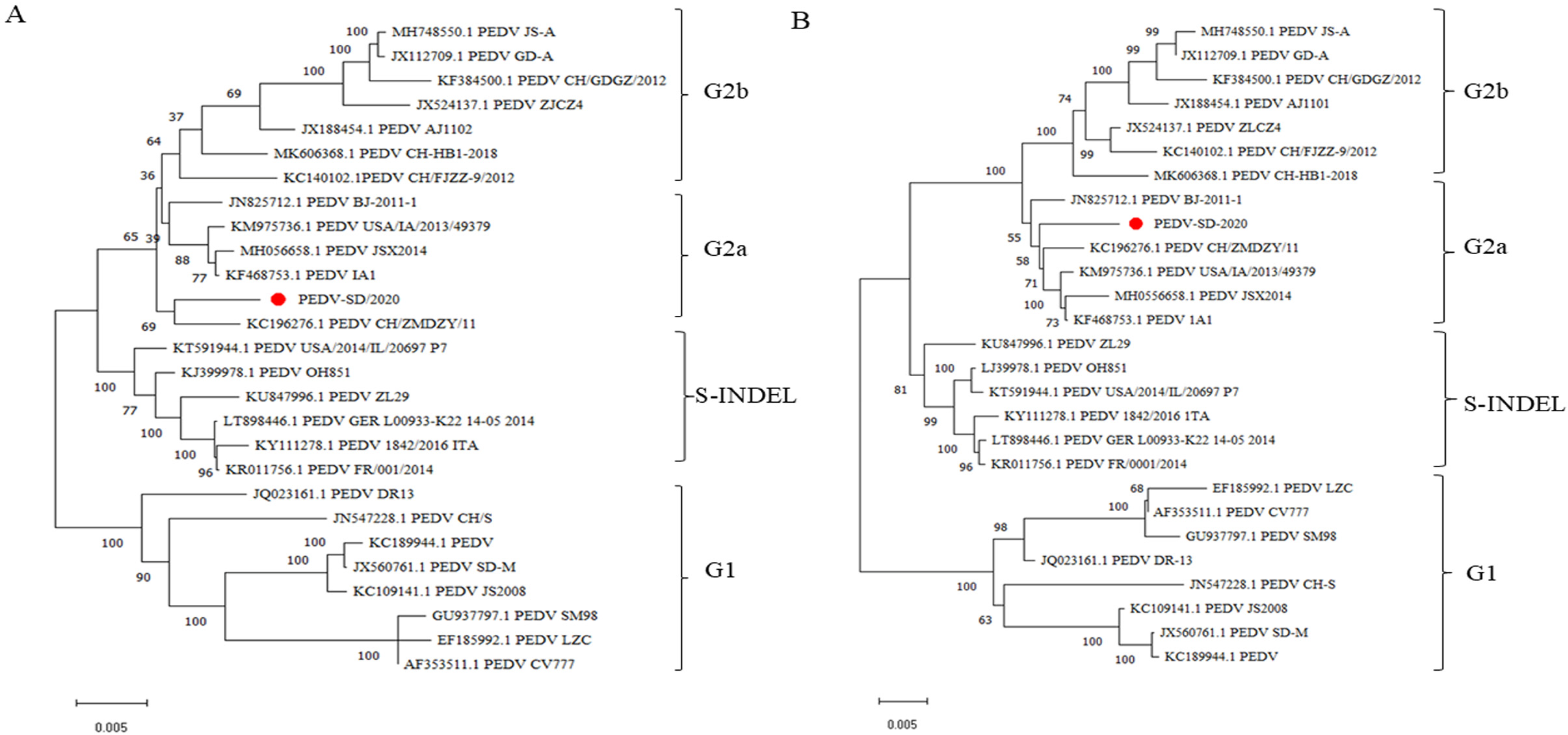 Animals 15 00156 g004