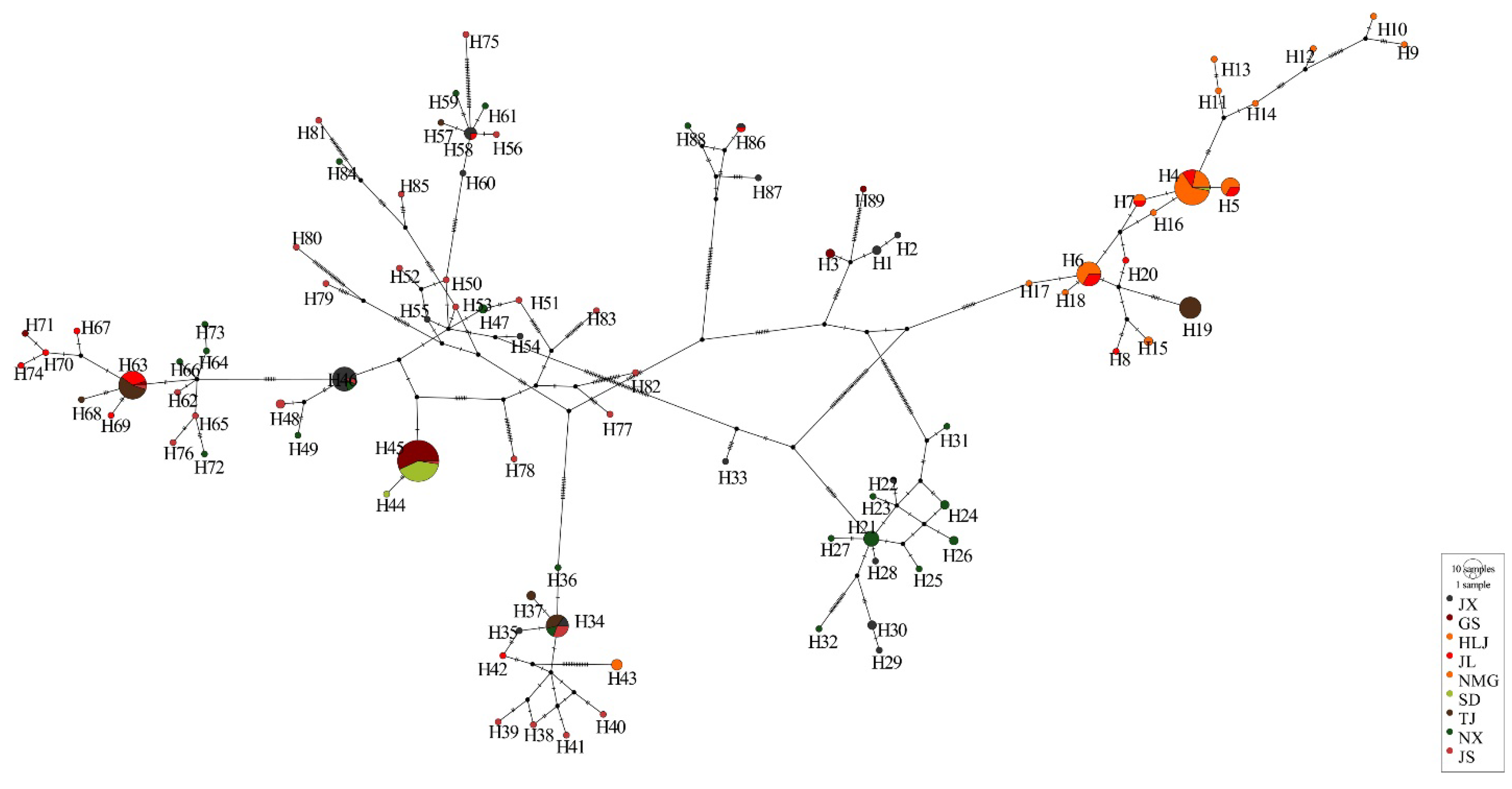 Animals 15 00158 g002