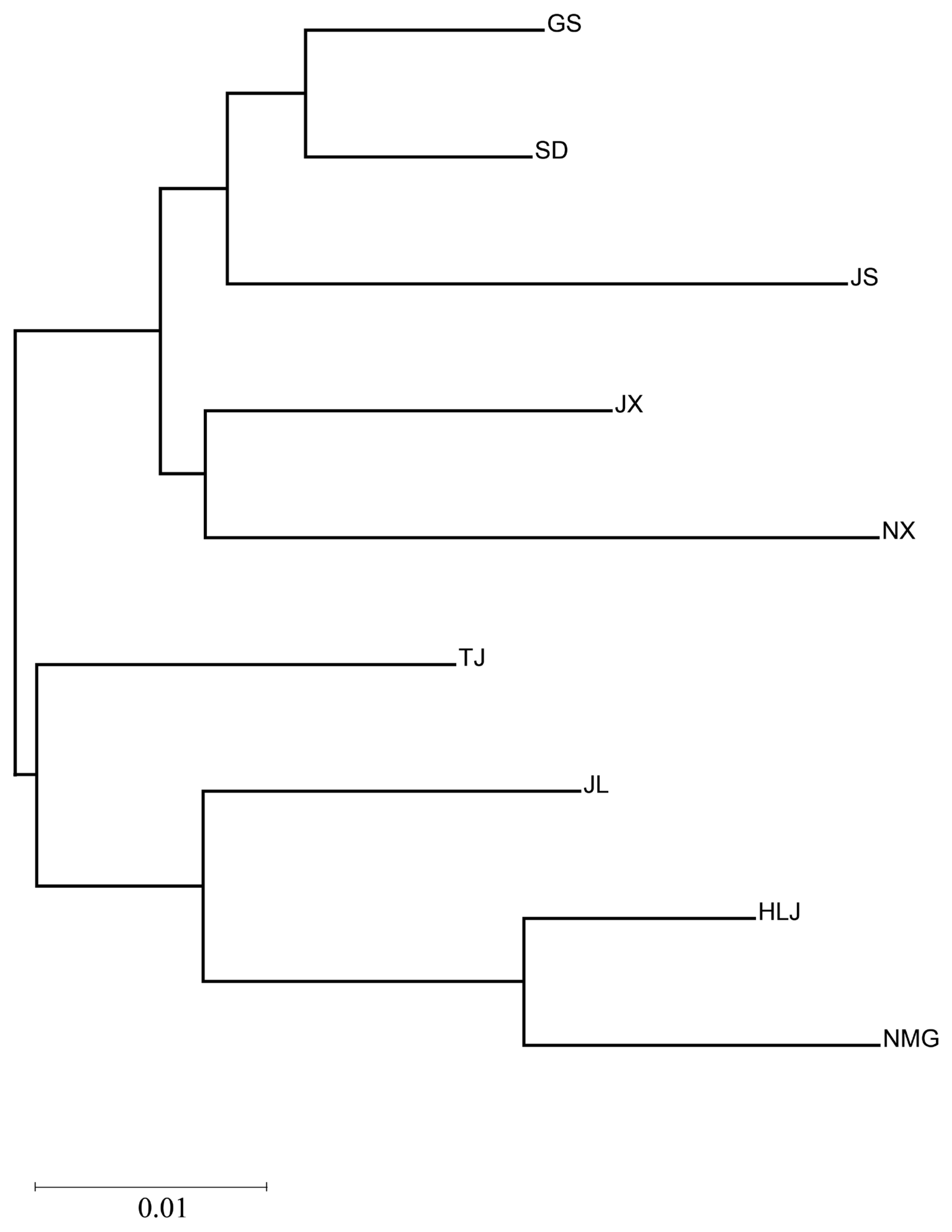 Animals 15 00158 g003