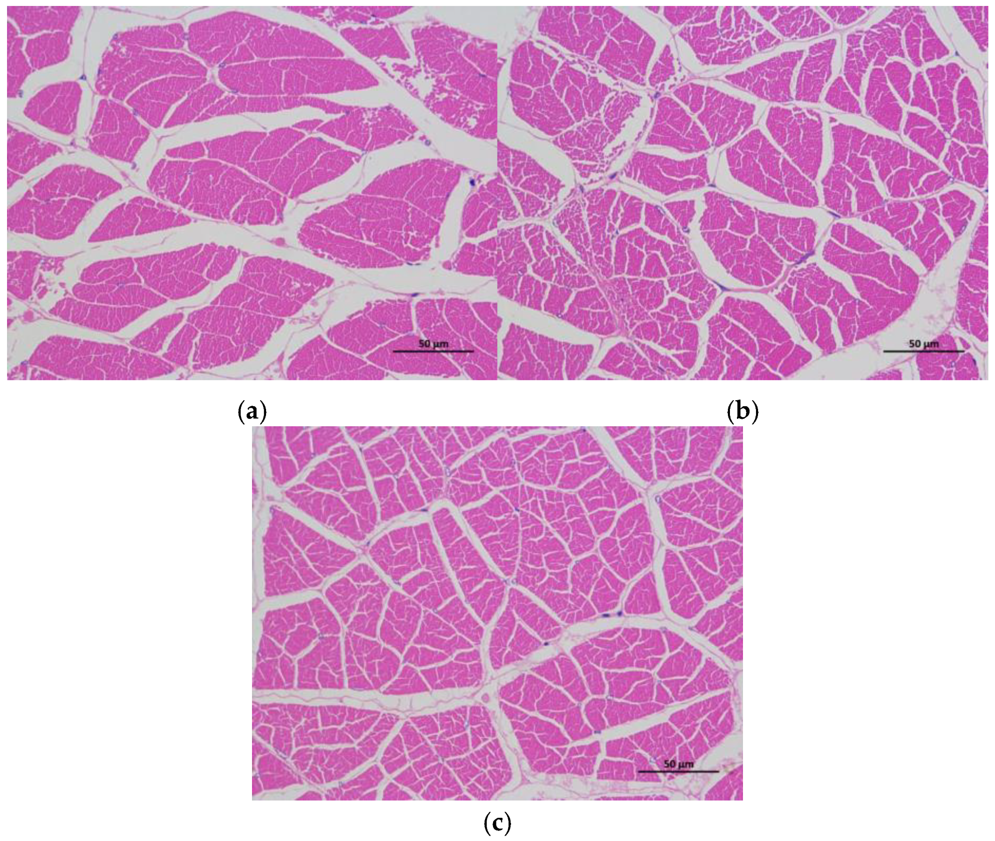 Animals 15 00159 g001