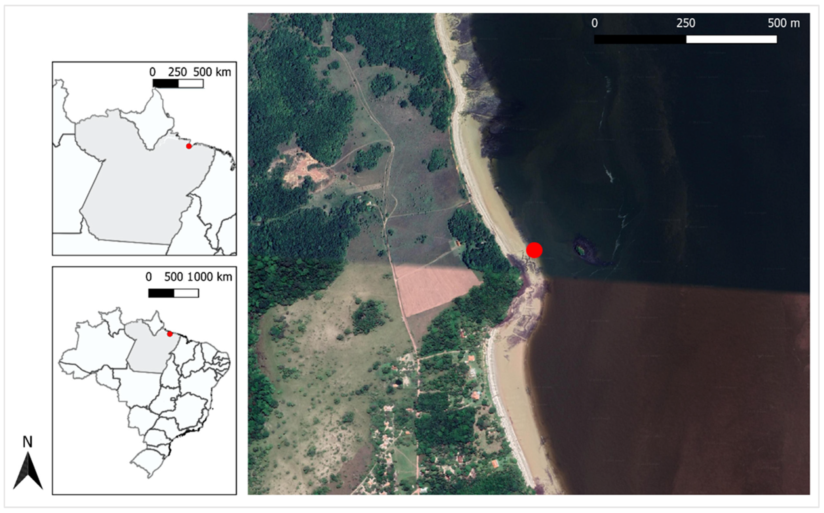 Animals 15 00161 g001 Animals 15 00161 g001