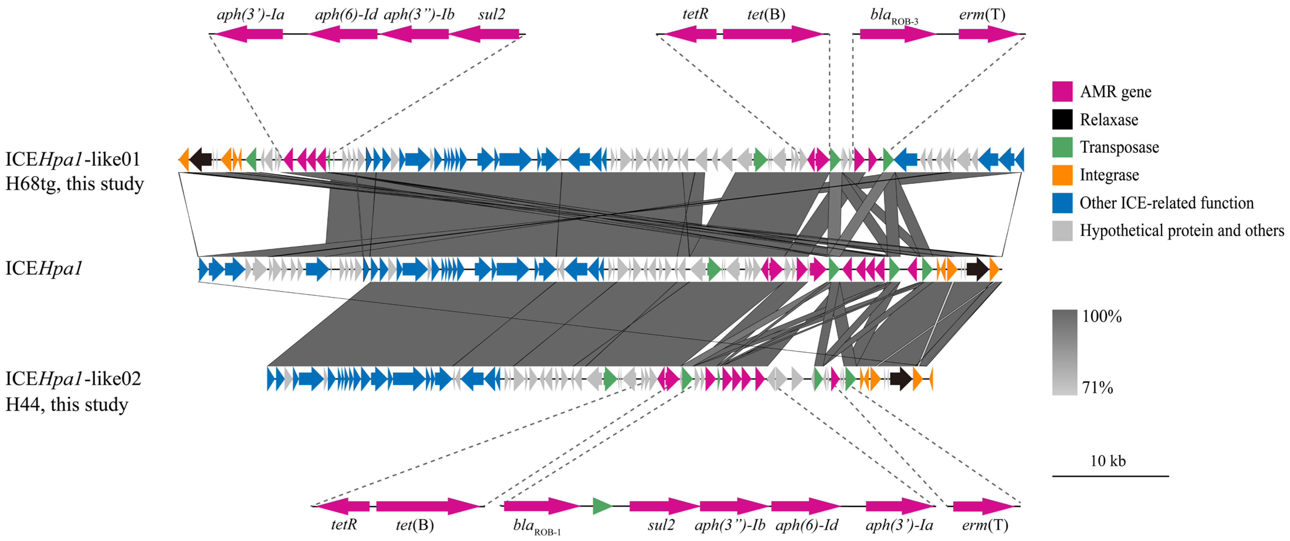 Animals 15 00164 g001