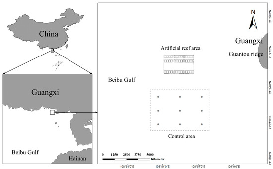 Evaluating Ecosystem Characteristics and Ecological Carrying
