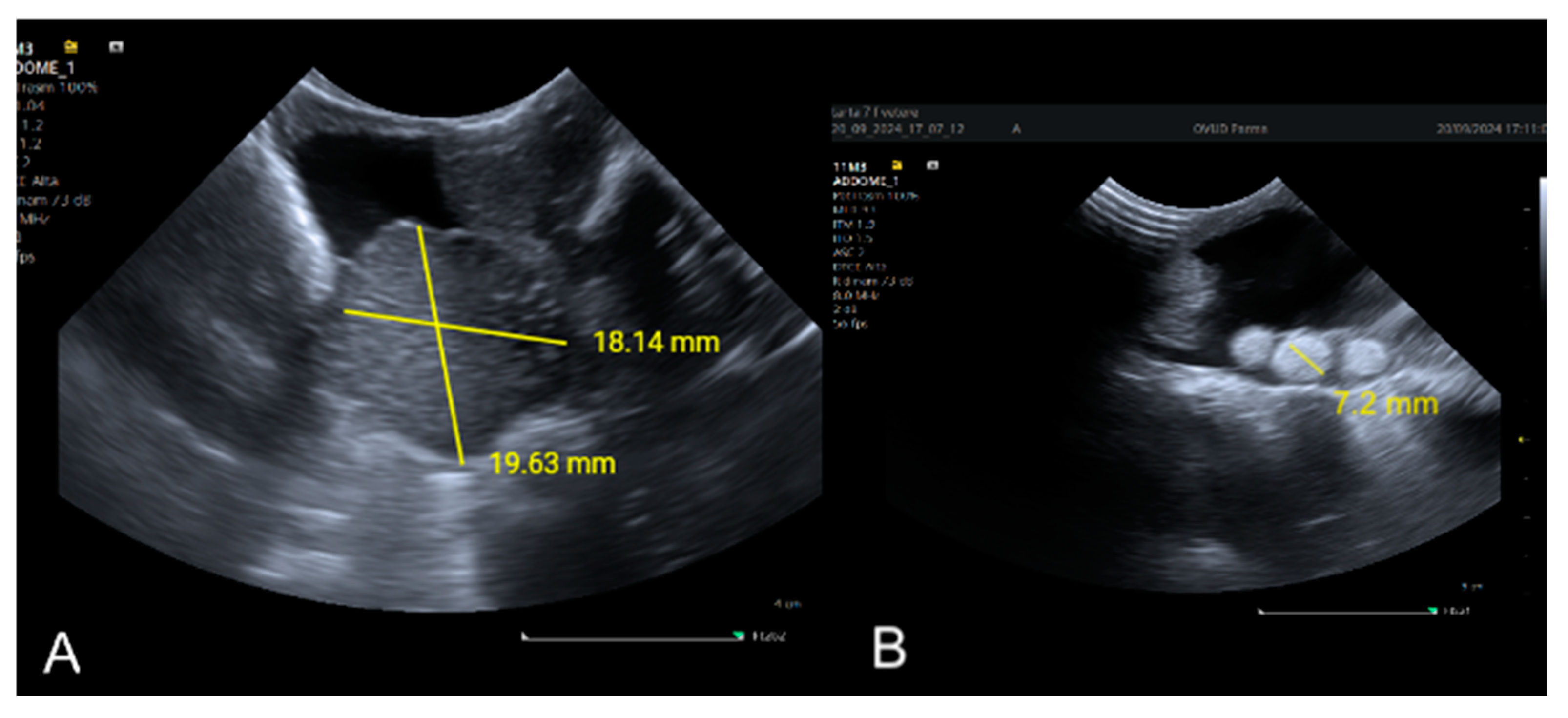 Animals 15 00168 g006 Animals 15 00168 g006