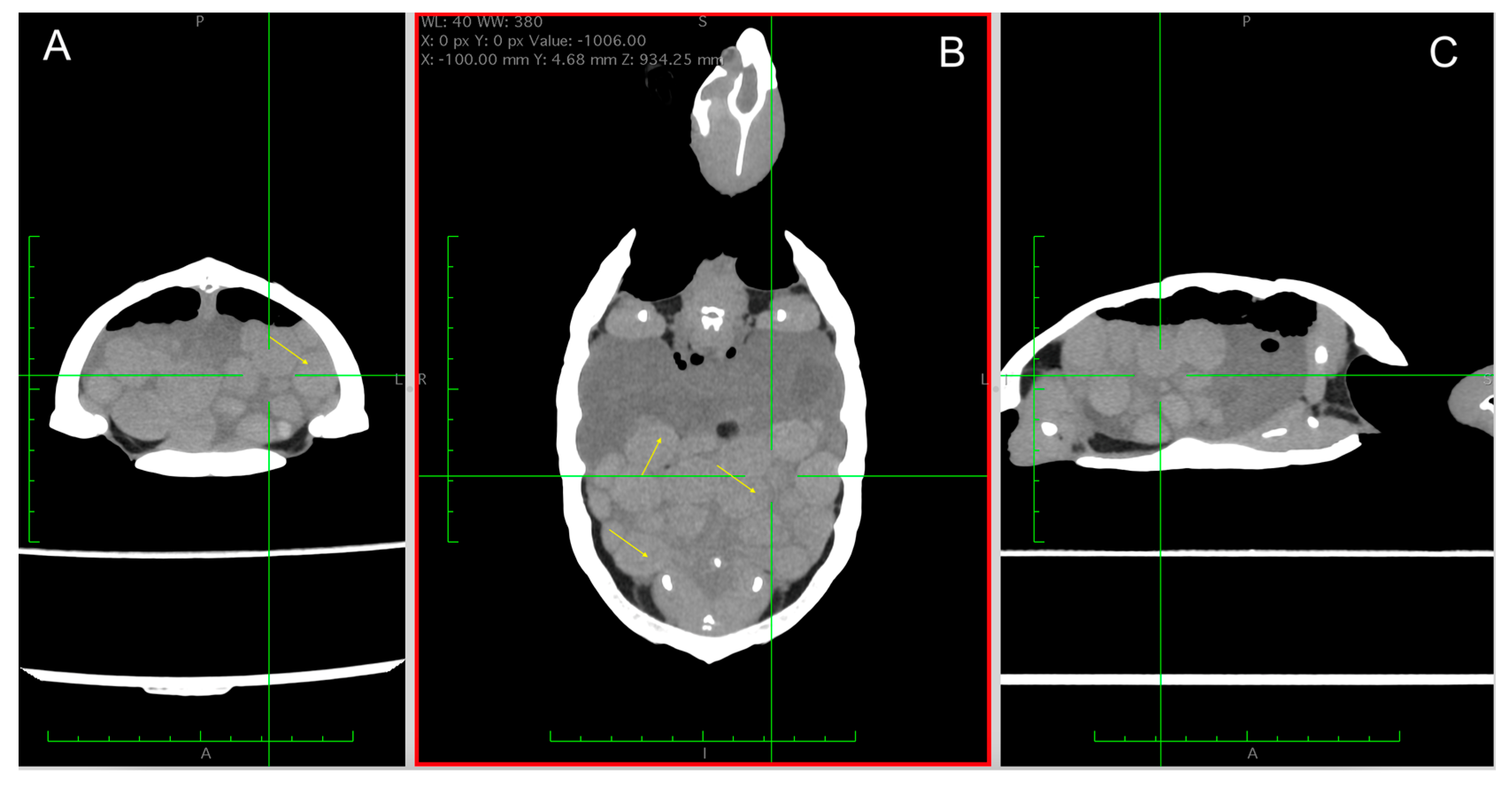 Animals 15 00168 g007 Animals 15 00168 g007