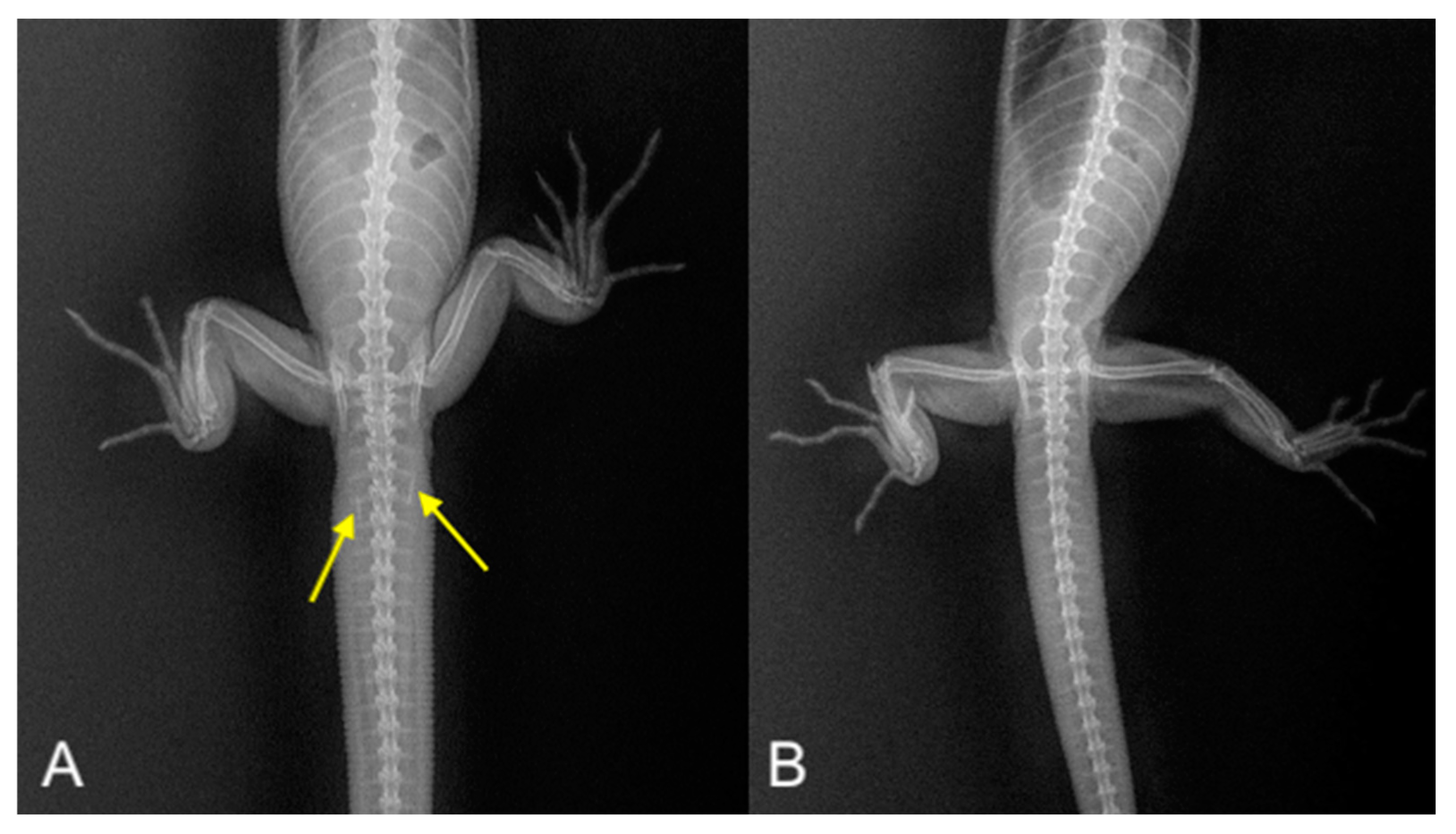 Animals 15 00168 g008 Animals 15 00168 g008