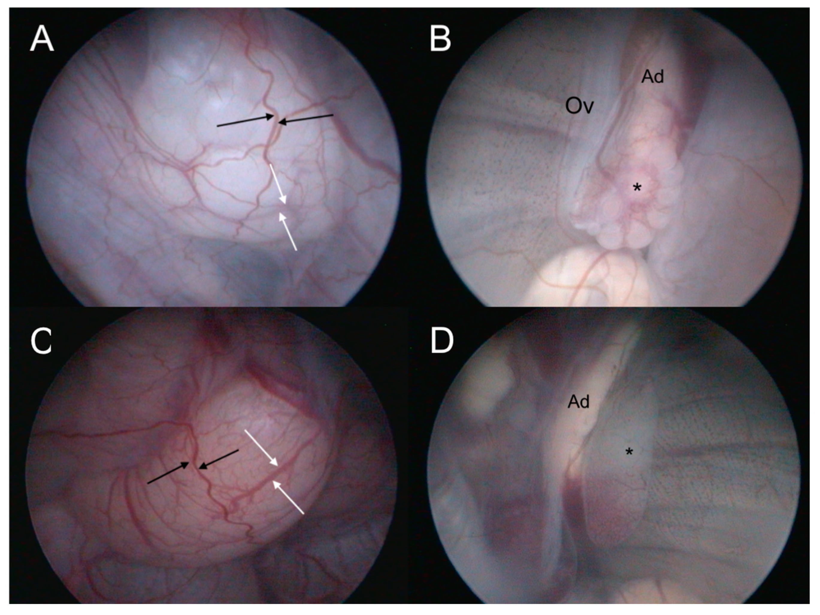 Animals 15 00168 g010 Animals 15 00168 g010