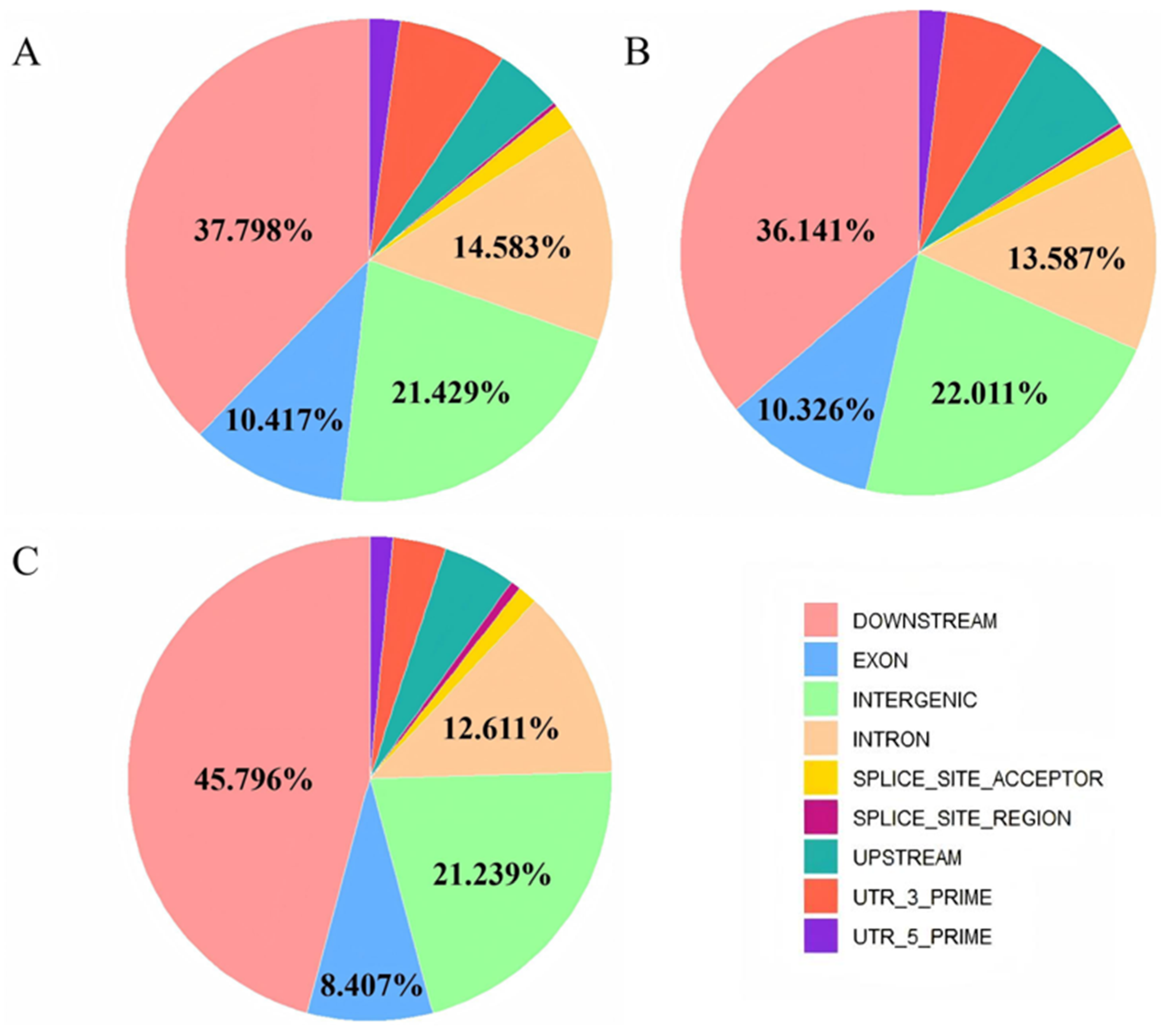 Animals 15 00171 g004 Animals 15 00171 g004