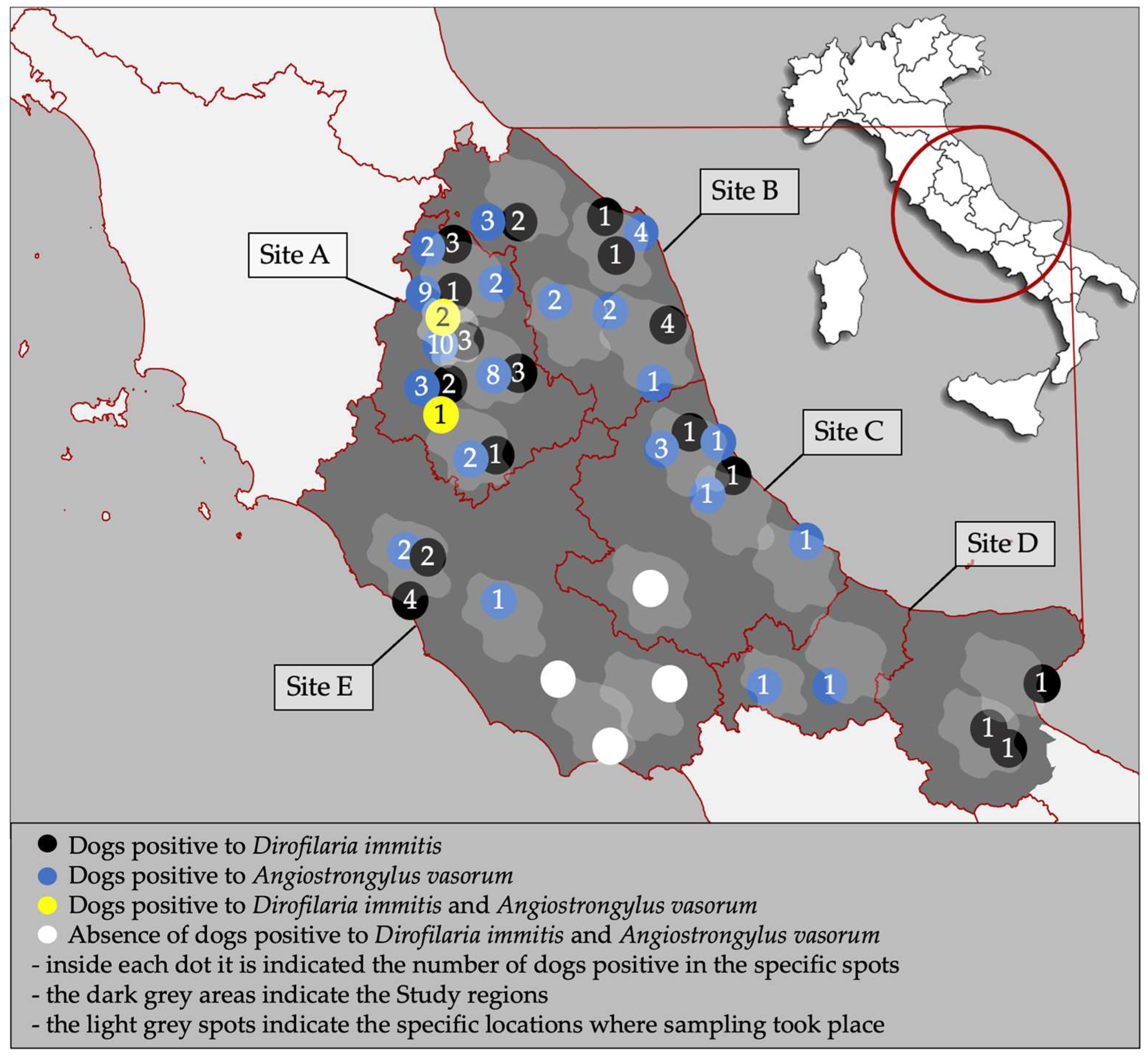 Animals 15 00172 g001