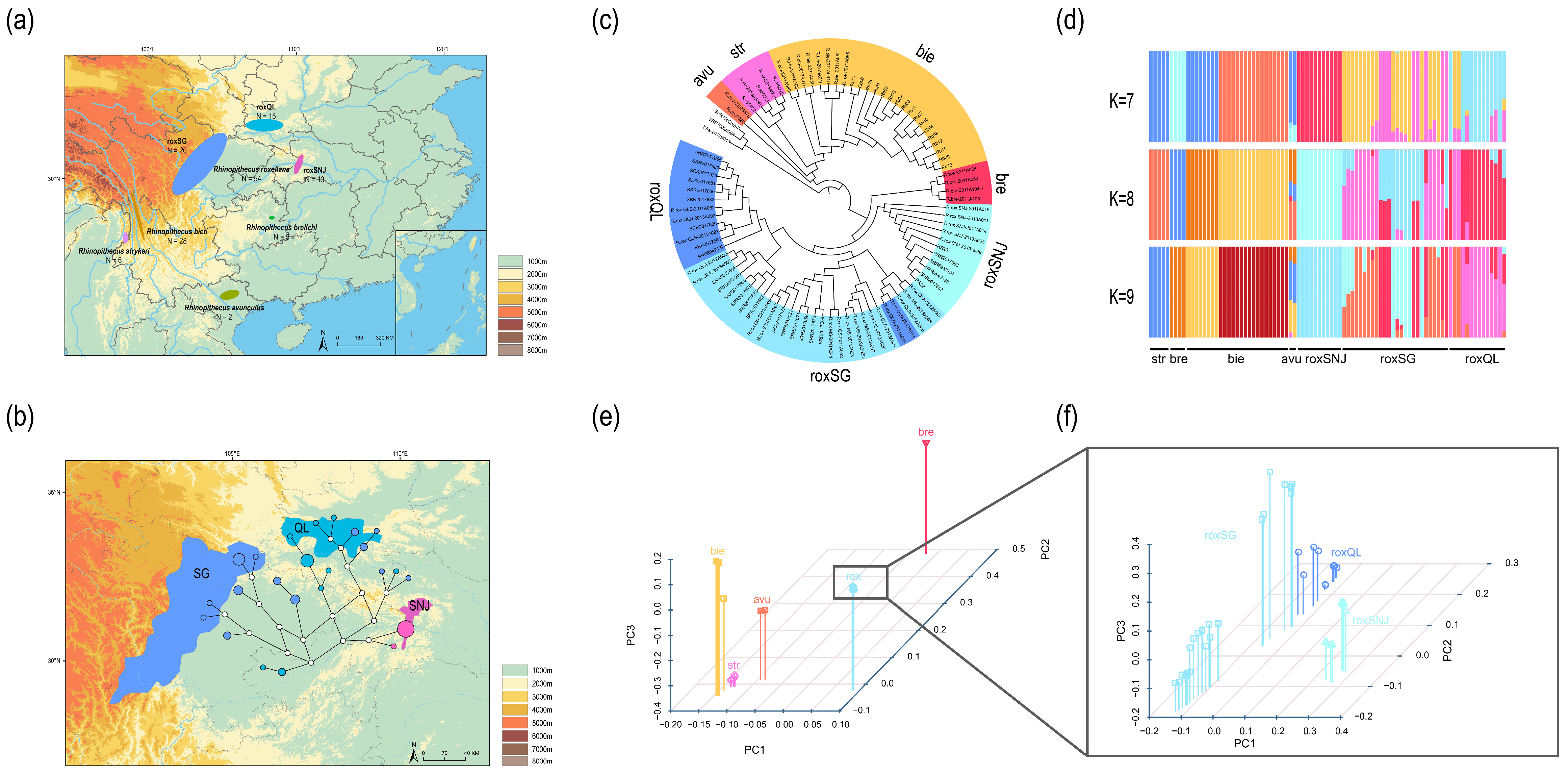 Animals 15 00174 g001