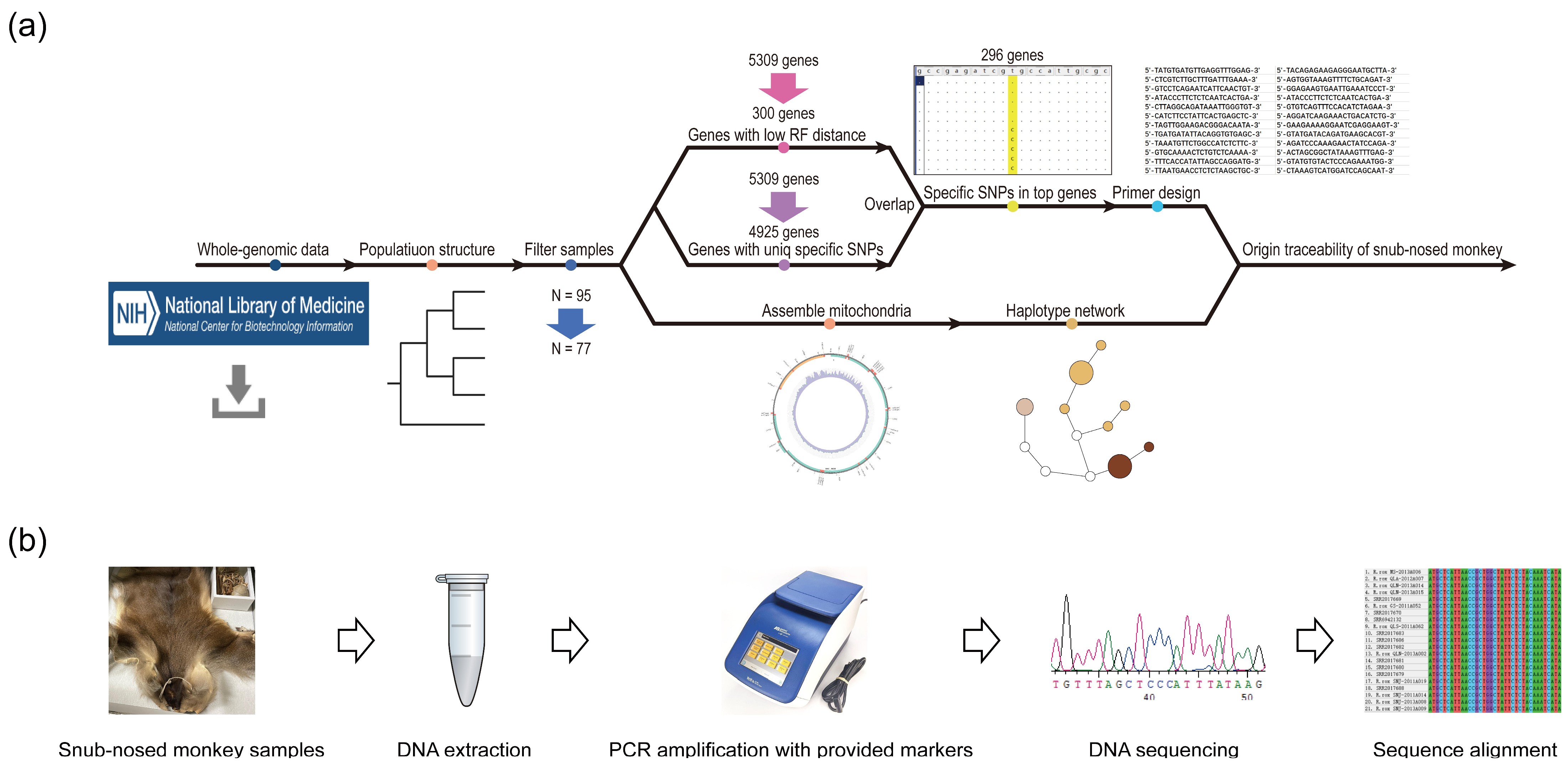 Animals 15 00174 g002
