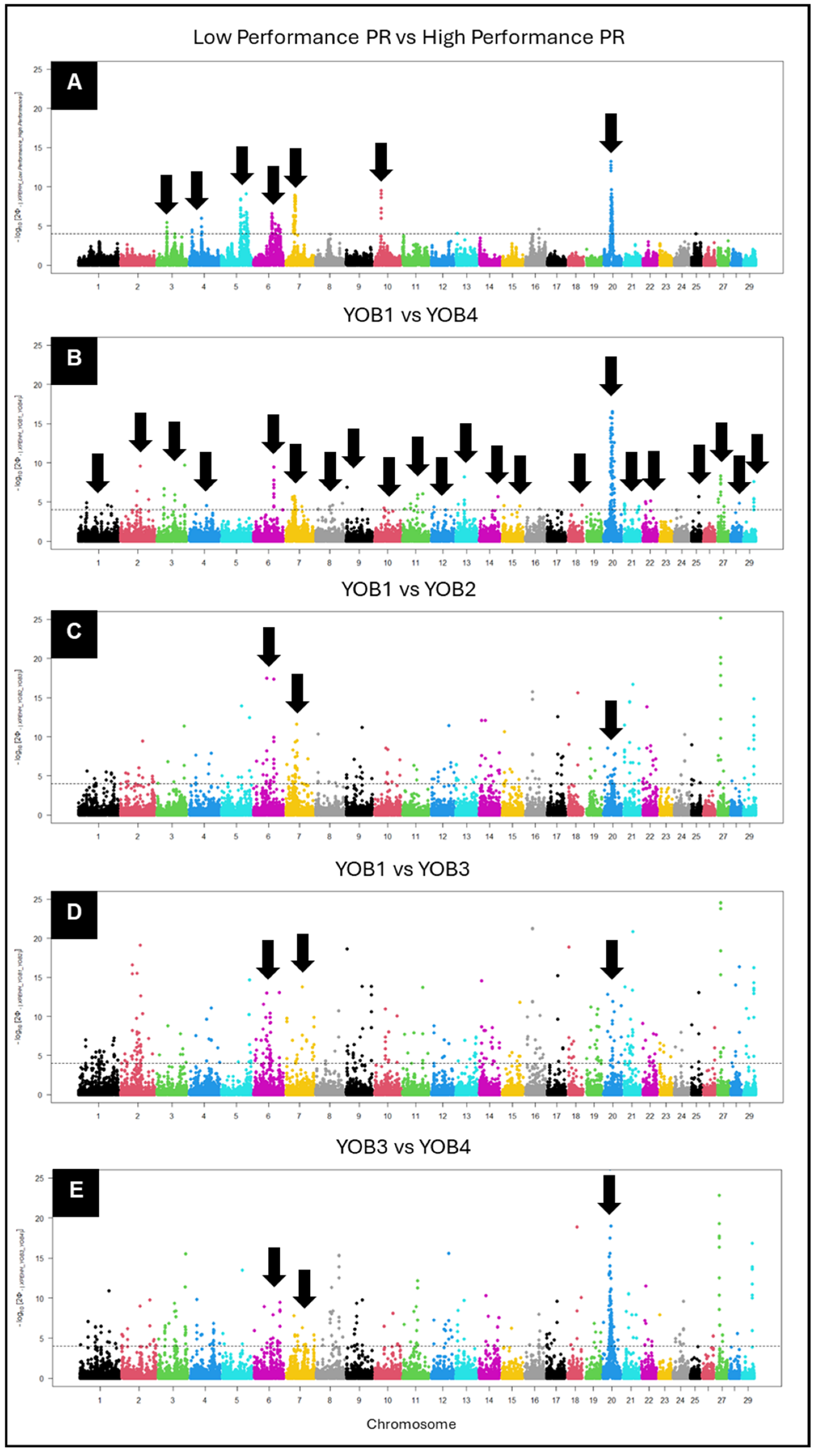 Animals 15 00175 g007 Animals 15 00175 g007