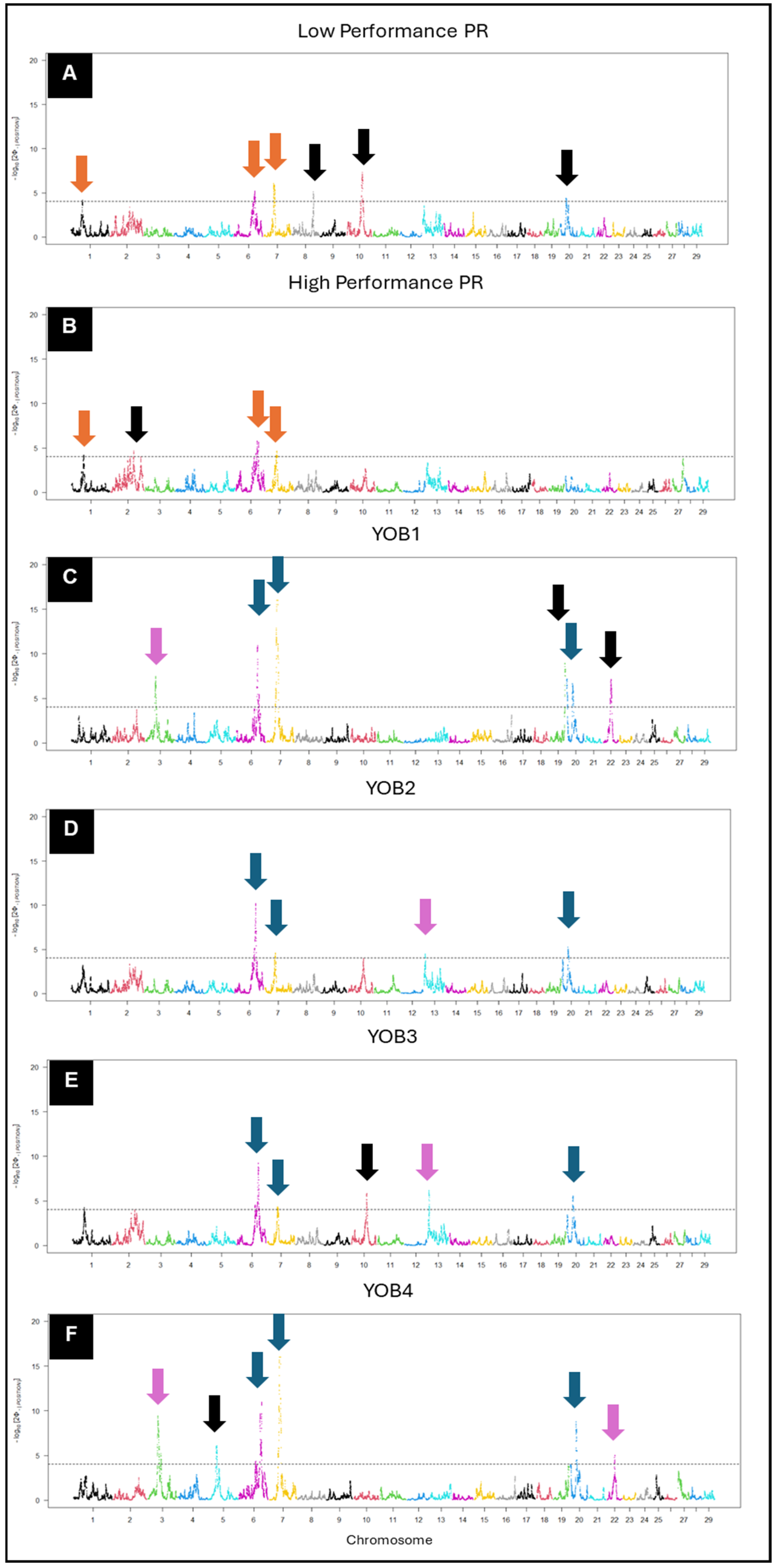 Animals 15 00175 g008 Animals 15 00175 g008