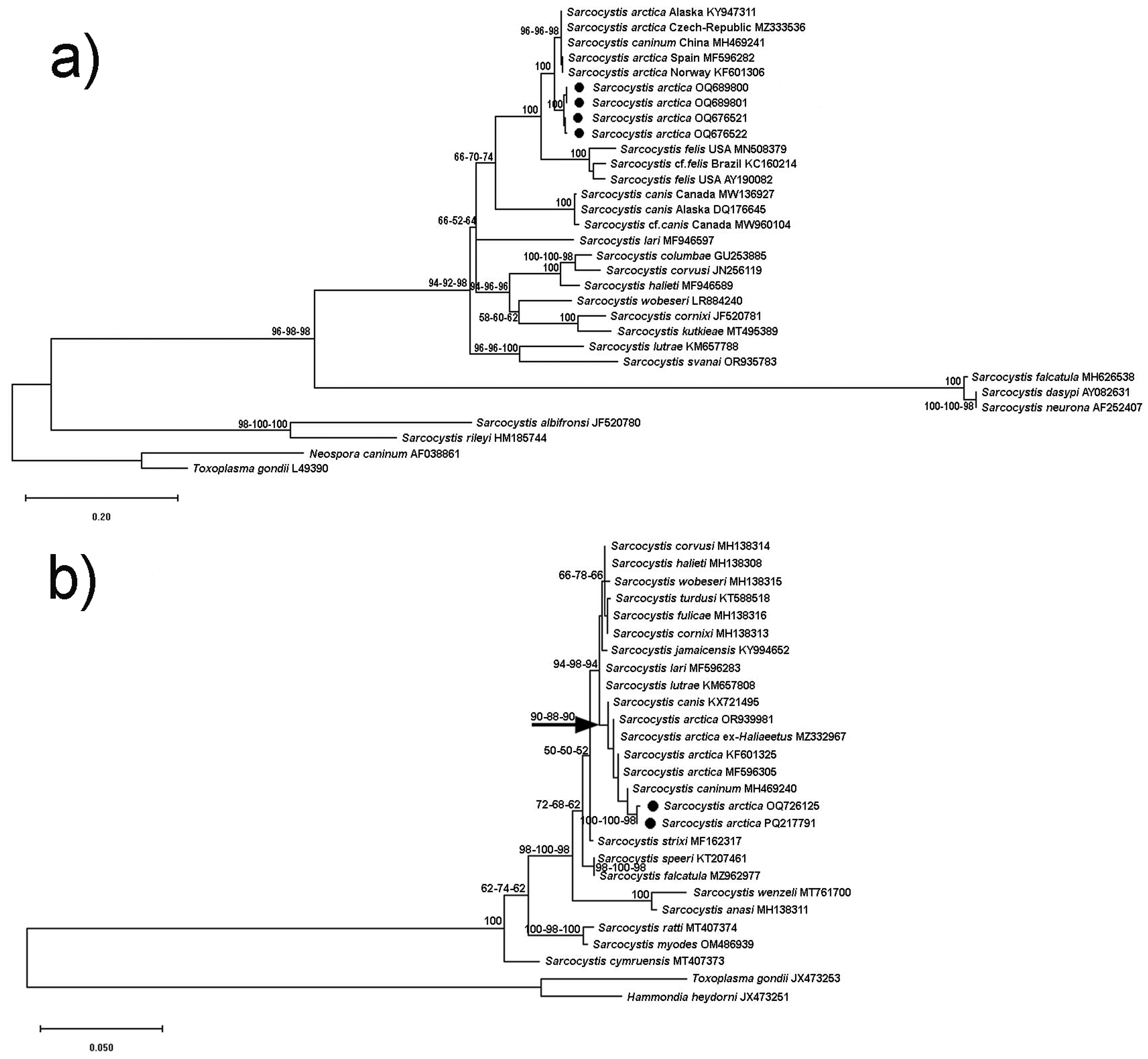 Animals 15 00180 g002