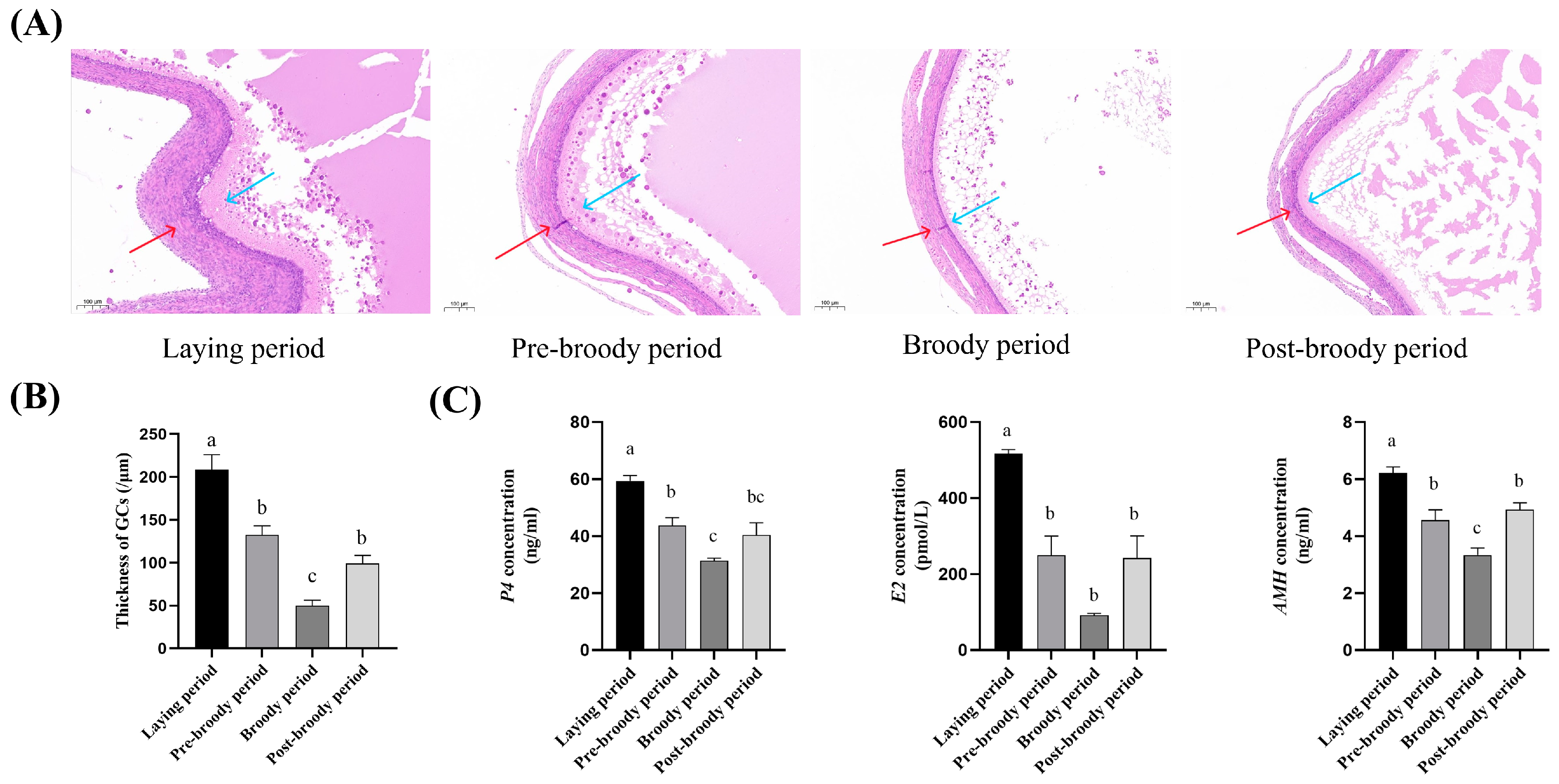 Animals 15 00182 g002