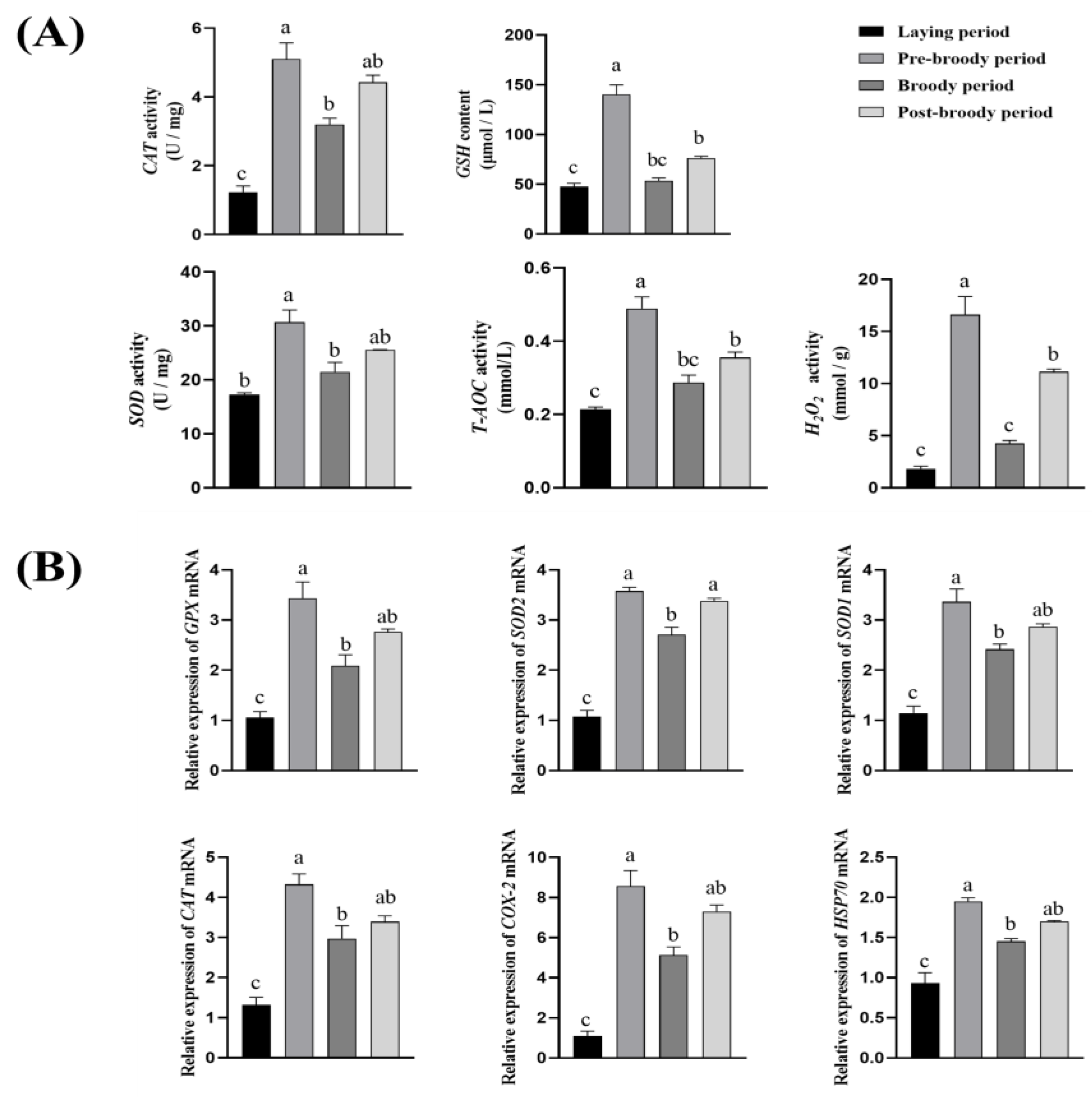 Animals 15 00182 g003