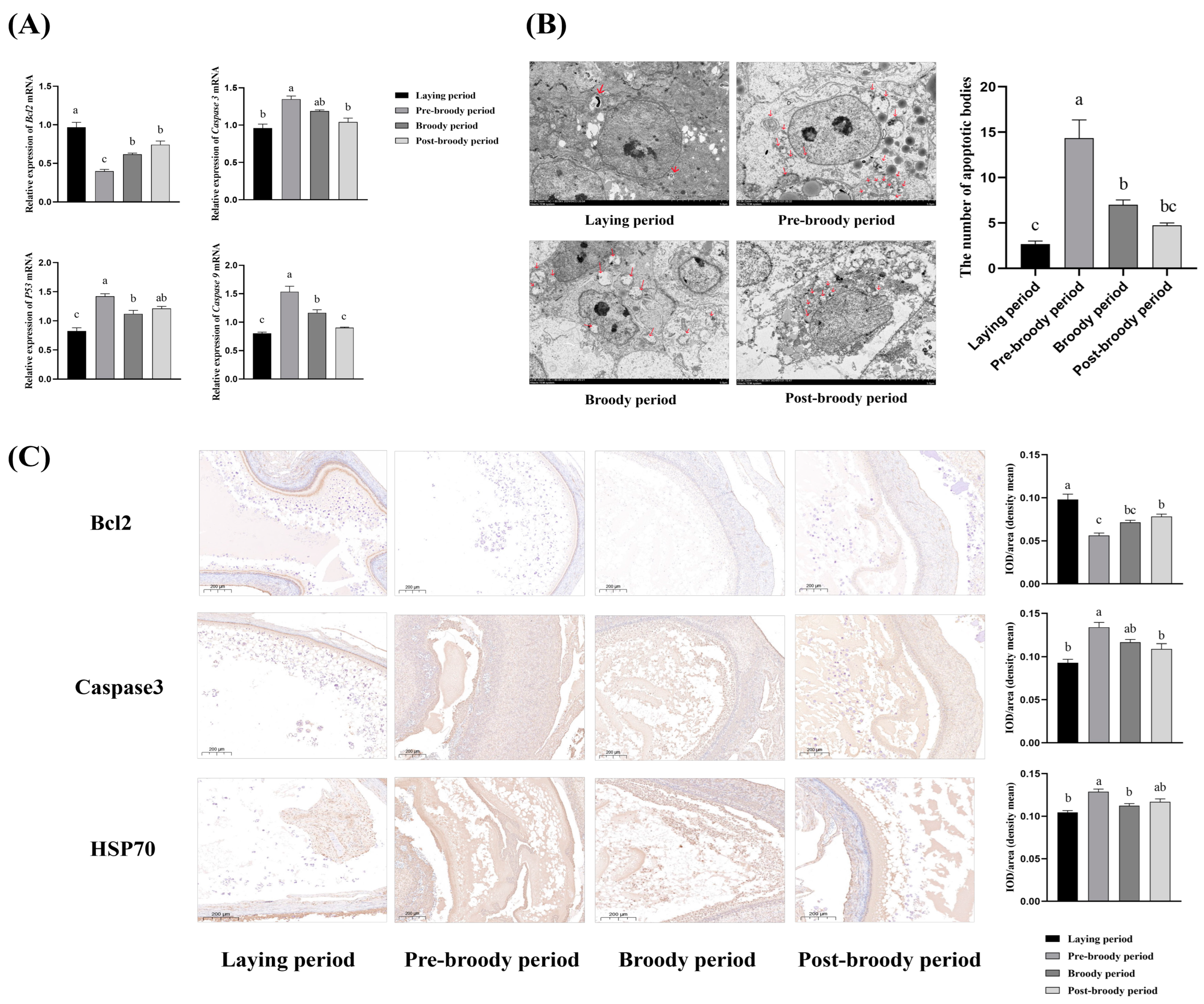 Animals 15 00182 g004