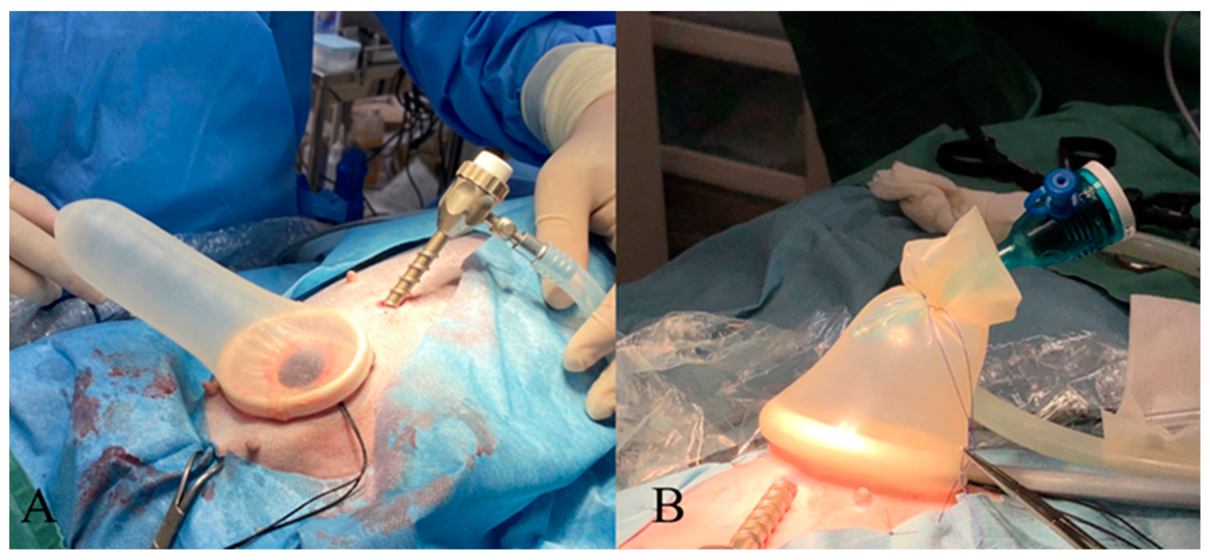 Animals 15 00187 g001 Animals 15 00187 g001