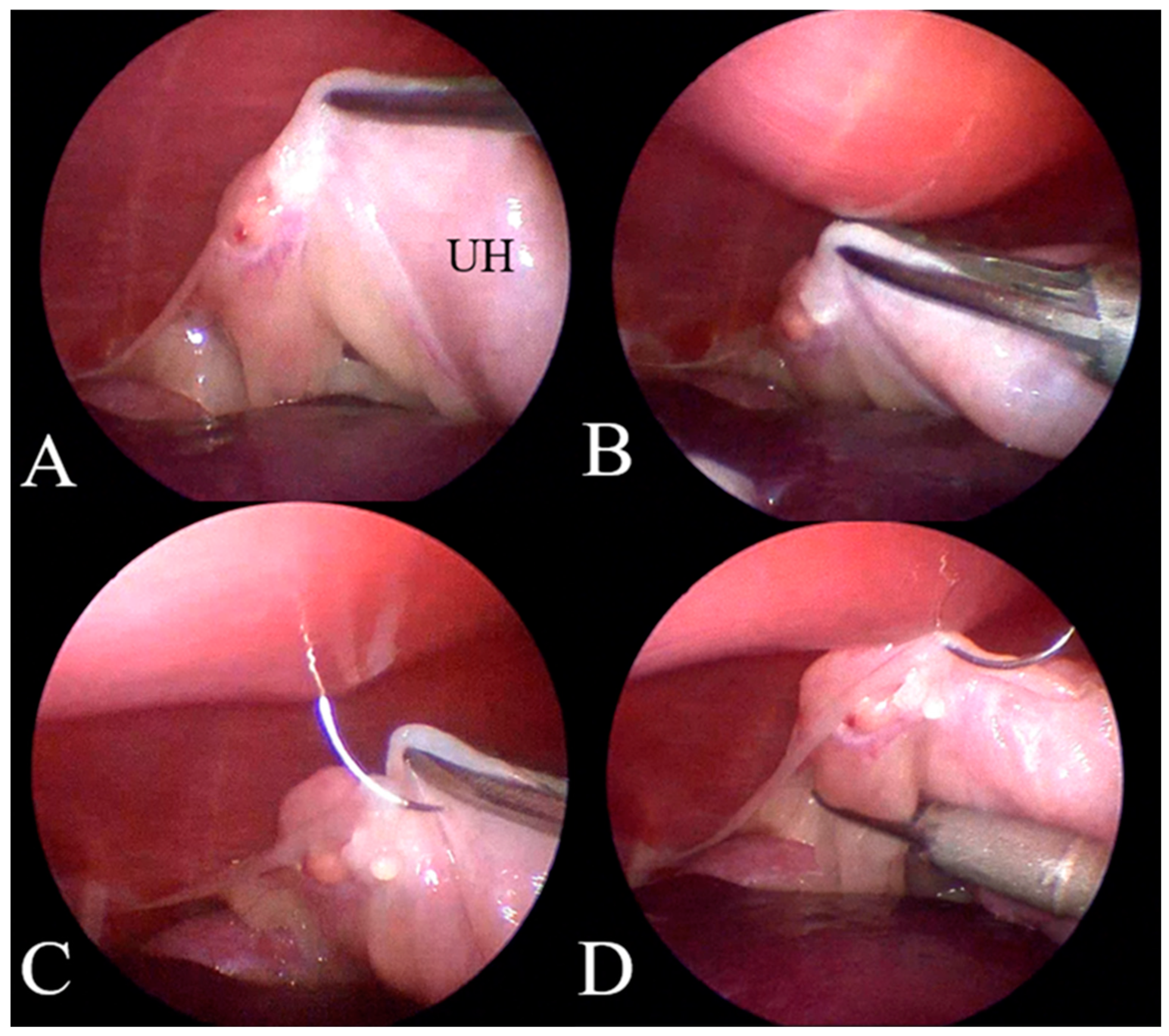 Animals 15 00187 g002 Animals 15 00187 g002