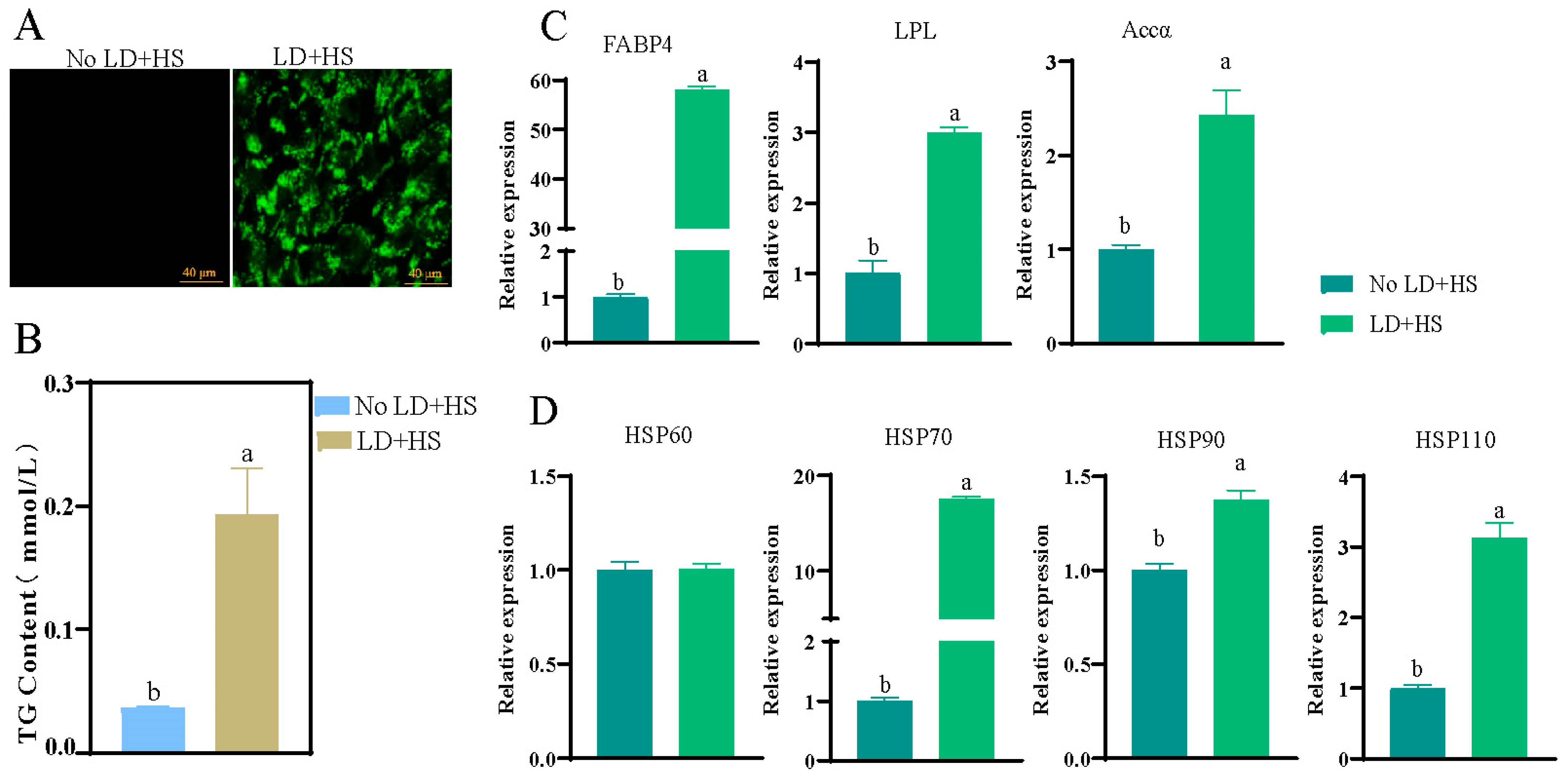 Animals 15 00193 g001