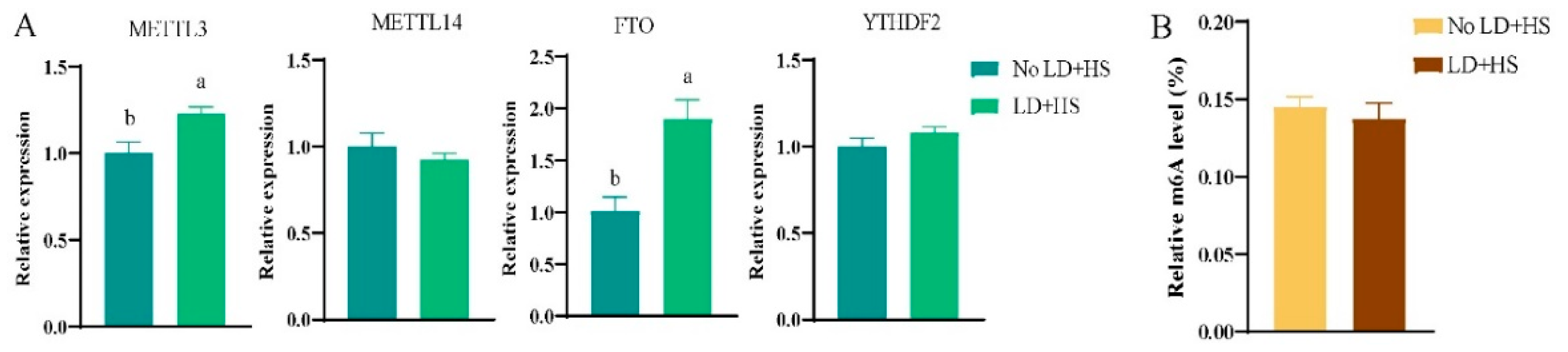 Animals 15 00193 g002
