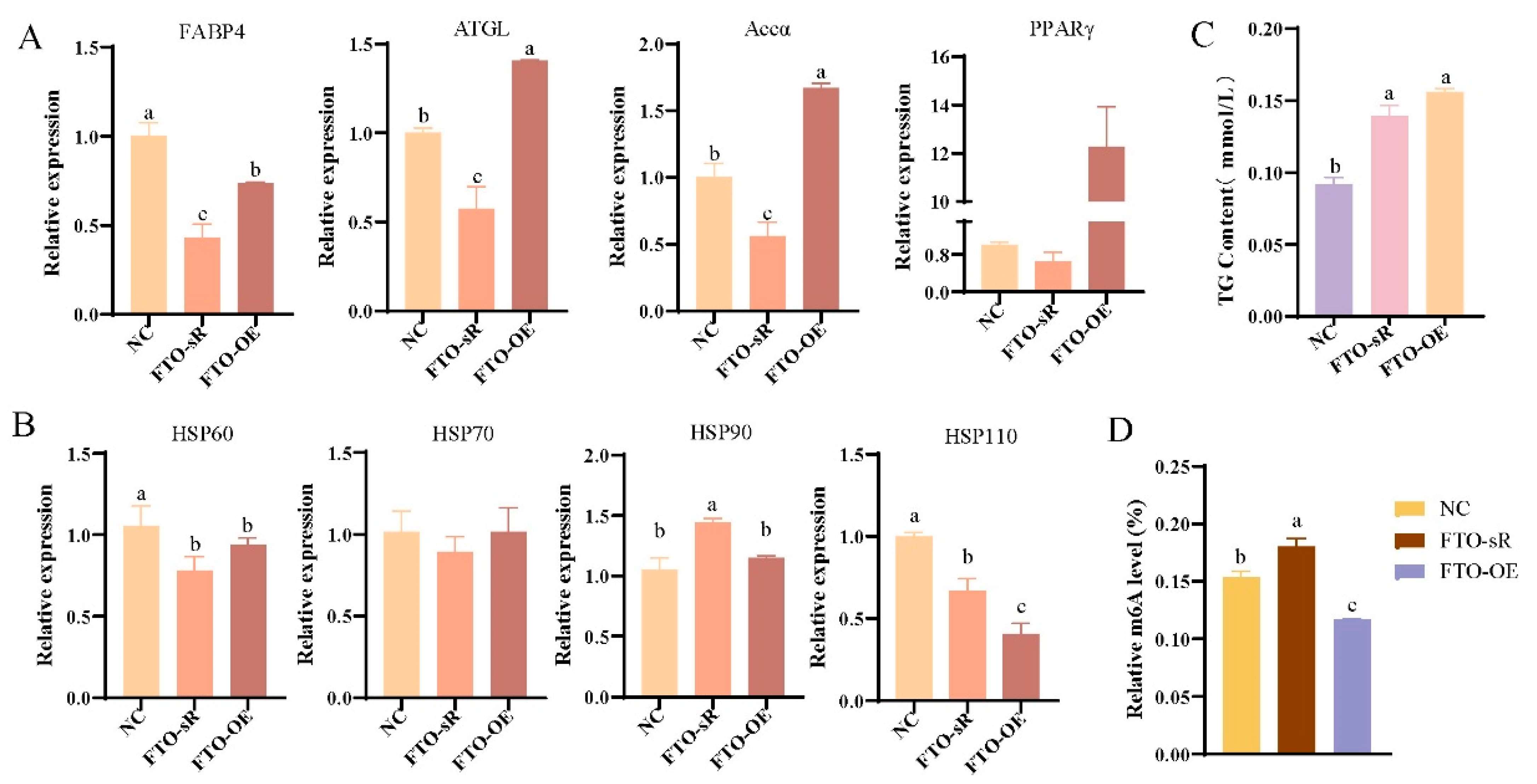 Animals 15 00193 g007