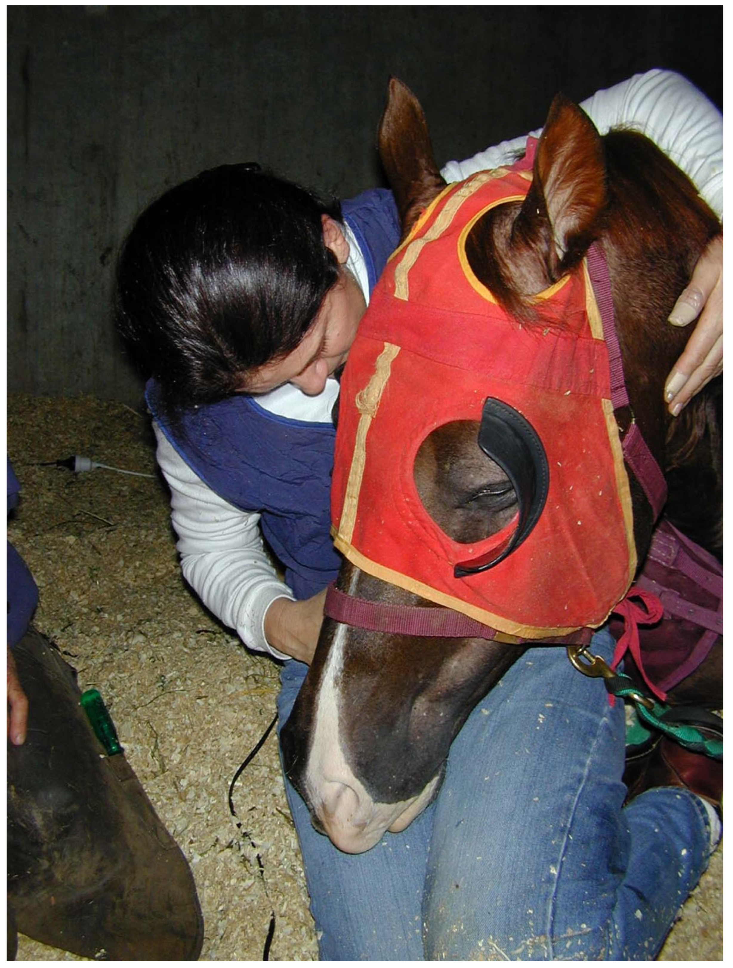 Animals 15 00194 g003