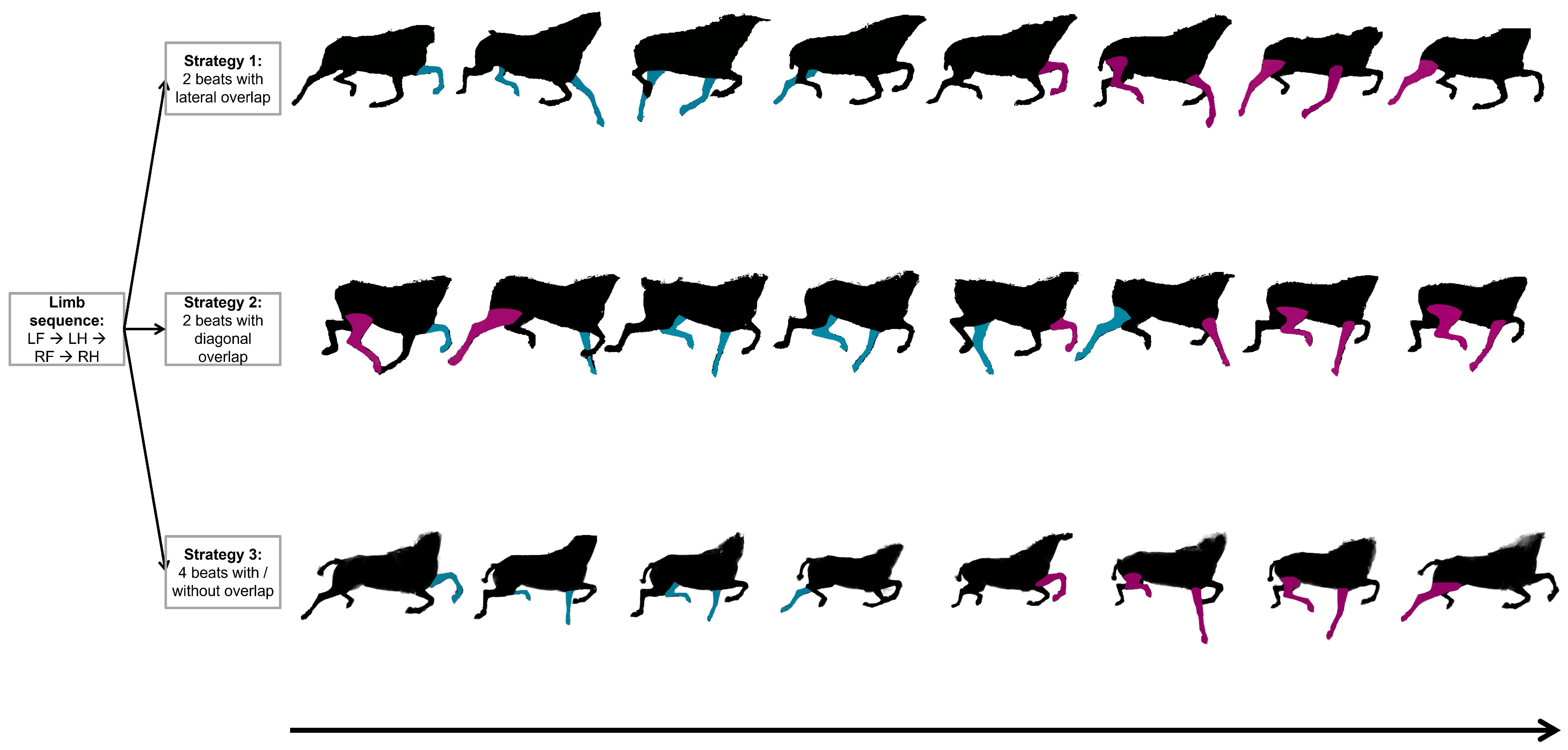 Animals 15 00195 g004