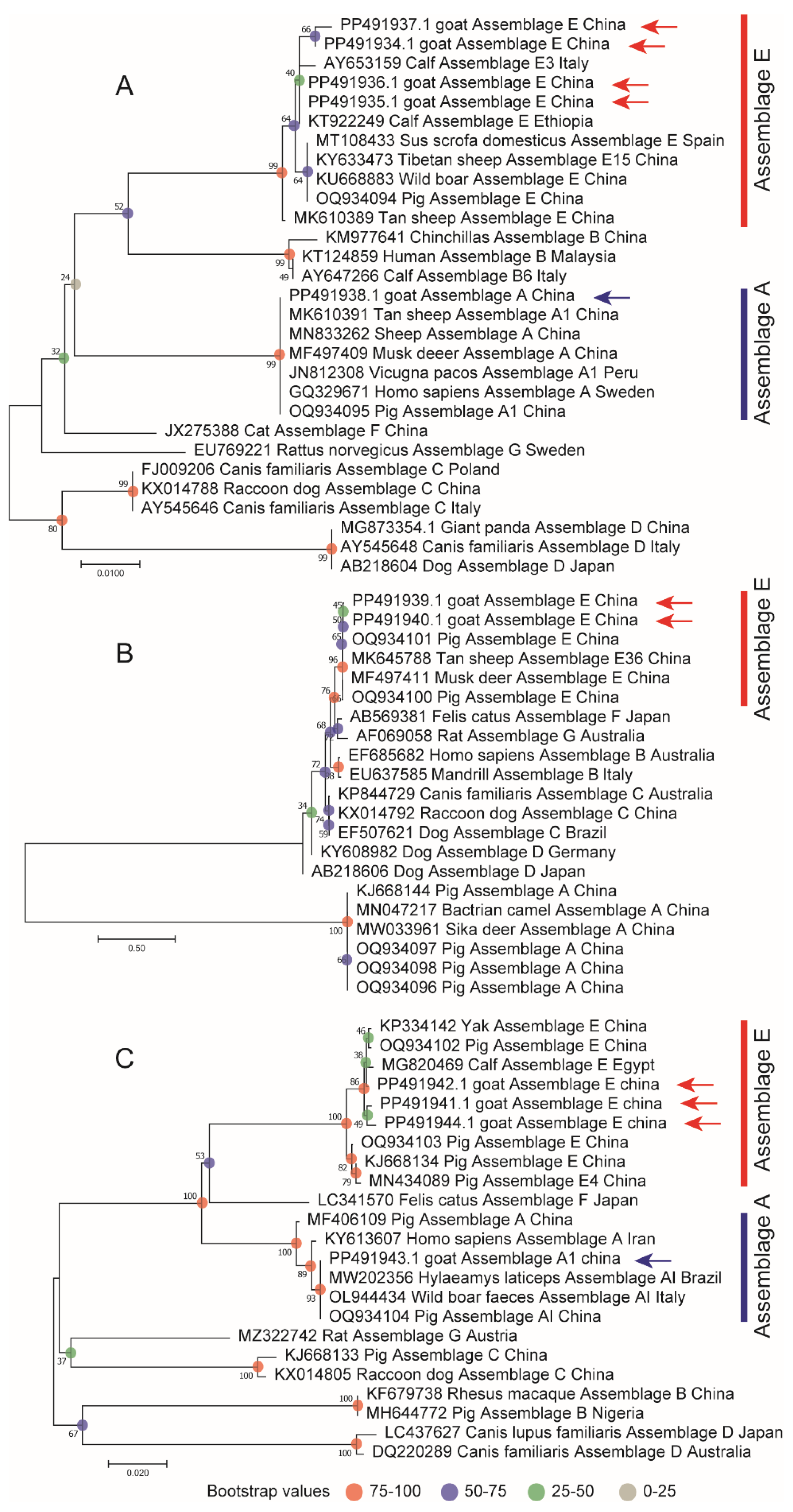 Animals 15 00199 g003