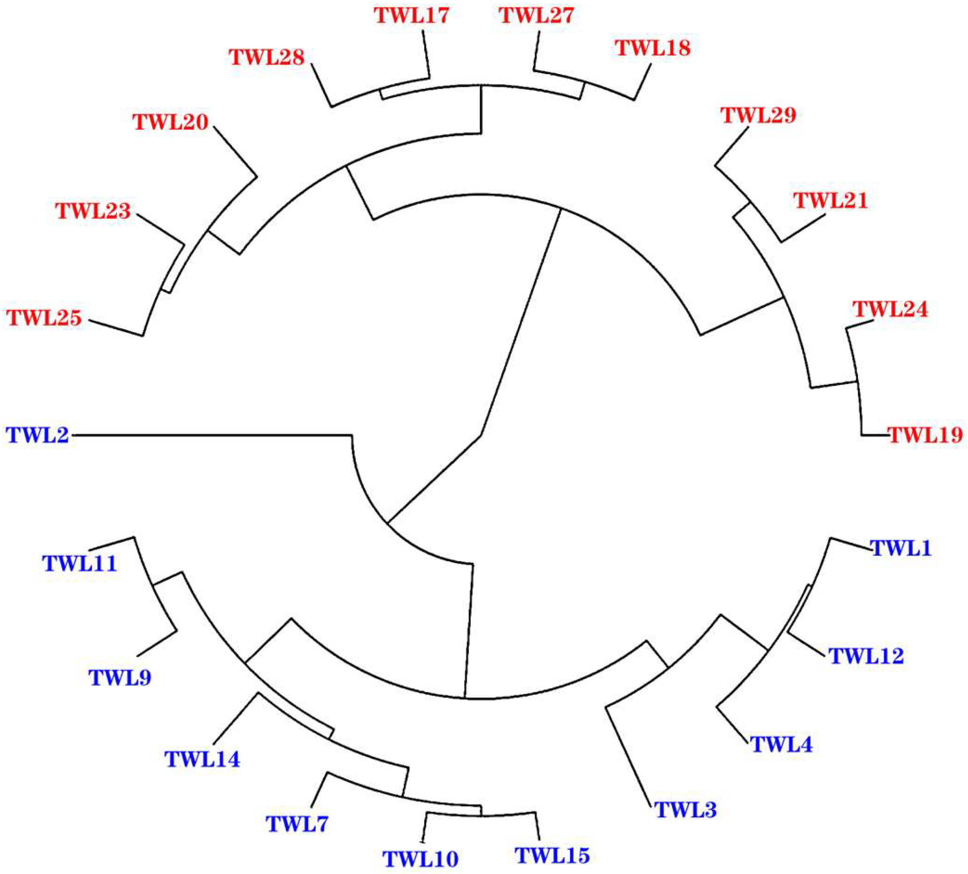 Animals 15 00200 g002