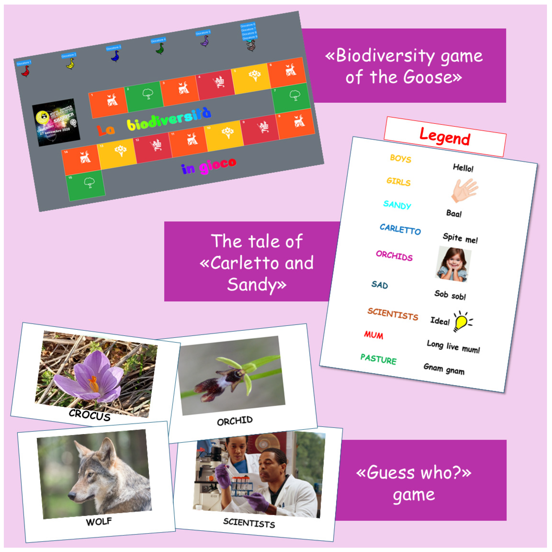 Animals 15 00201 g002