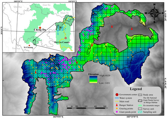 Grazing-Induced Habitat Degradation: Challenges to Giant