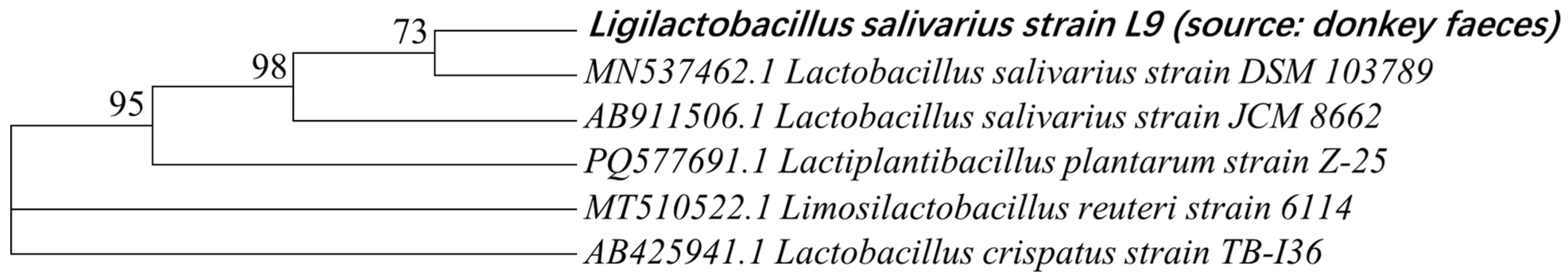 Animals 15 00207 g007