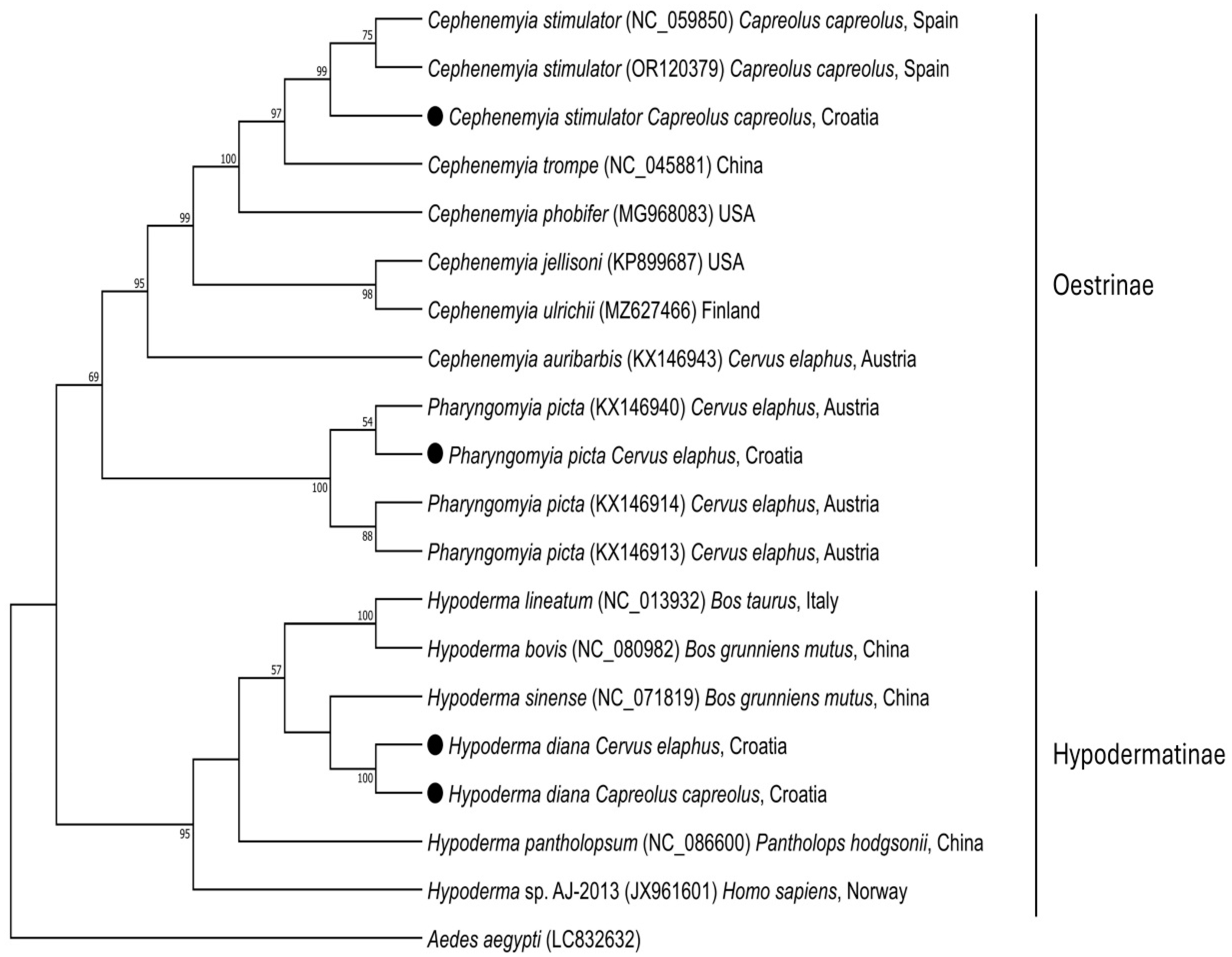 Animals 15 00208 g006