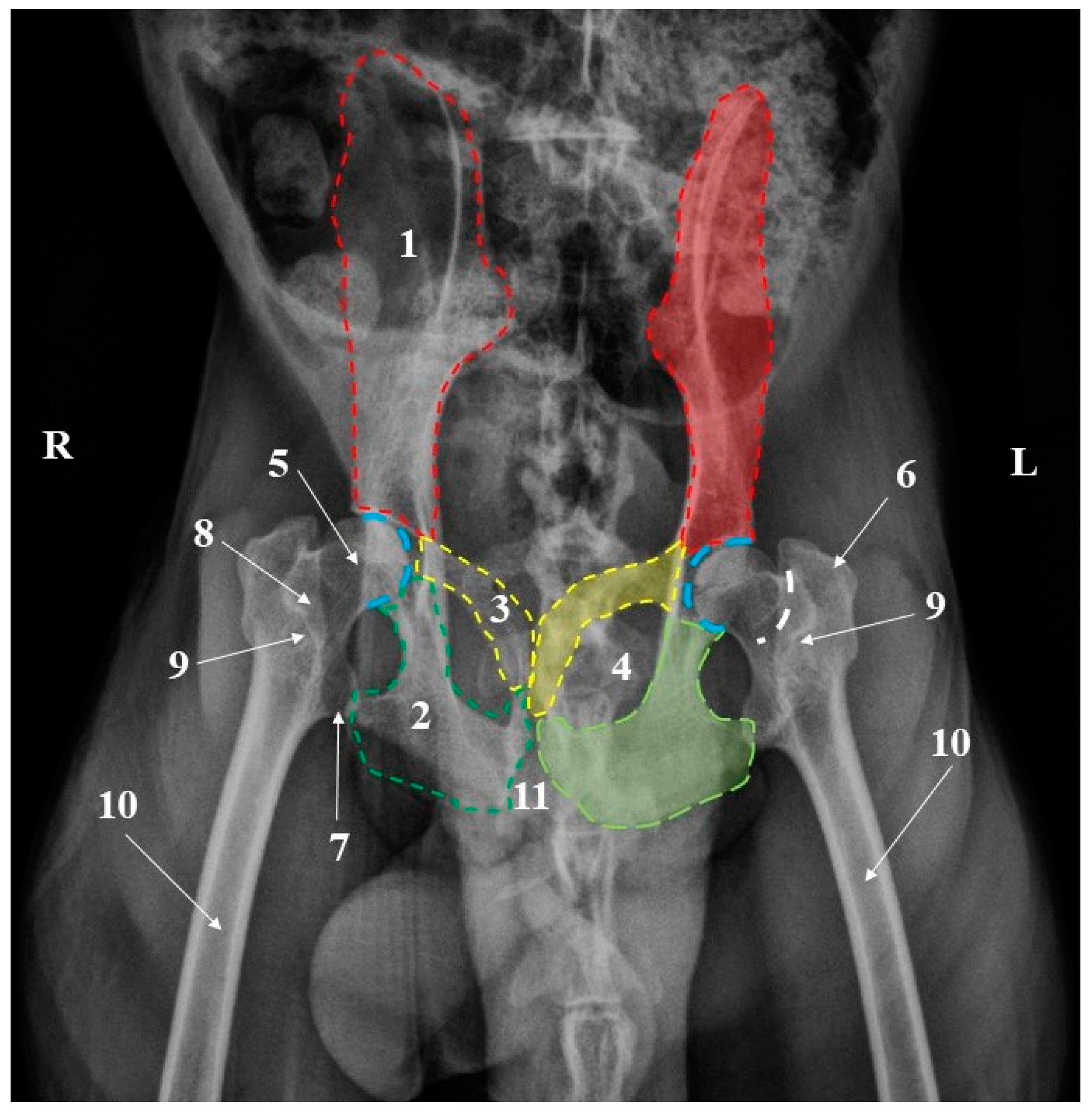 Animals 15 00209 g004 Animals 15 00209 g004