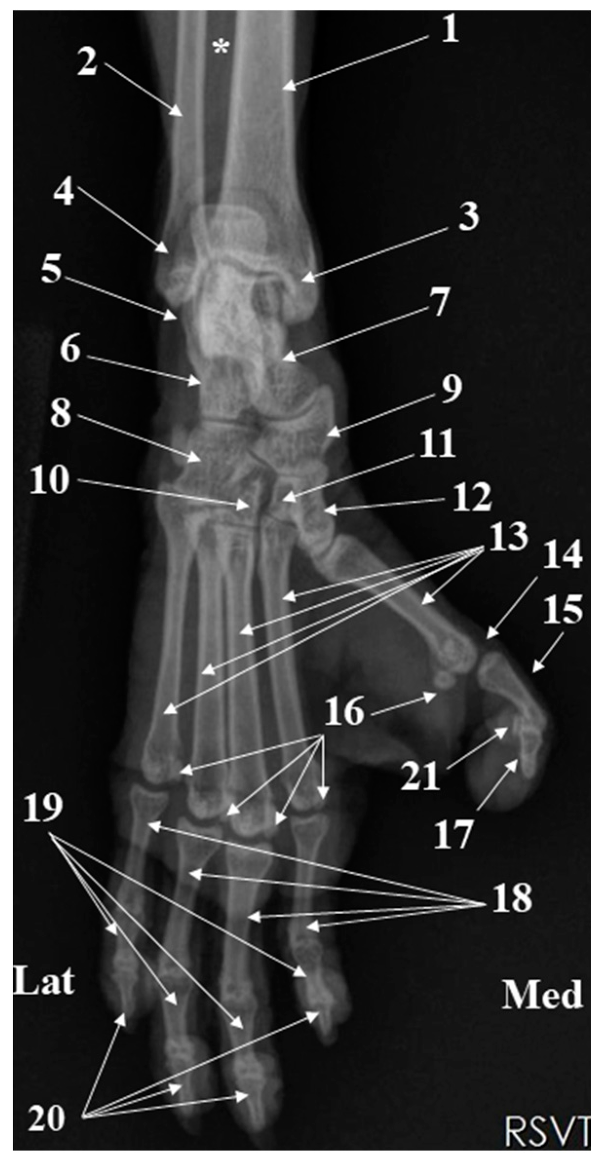 Animals 15 00209 g011 Animals 15 00209 g011