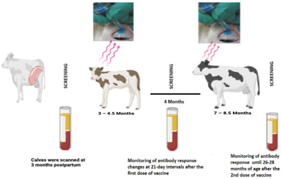 Exciting Casino Games