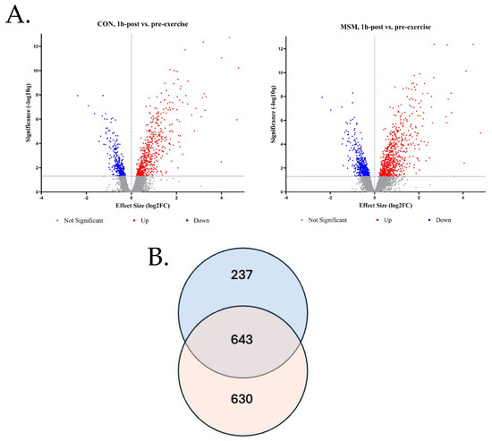 Methylsulfonylmethane (MSM) Supplementation in Adult Horses Supports  Improved Skeletal Muscle Inflammatory Gene Expression Following Exercise