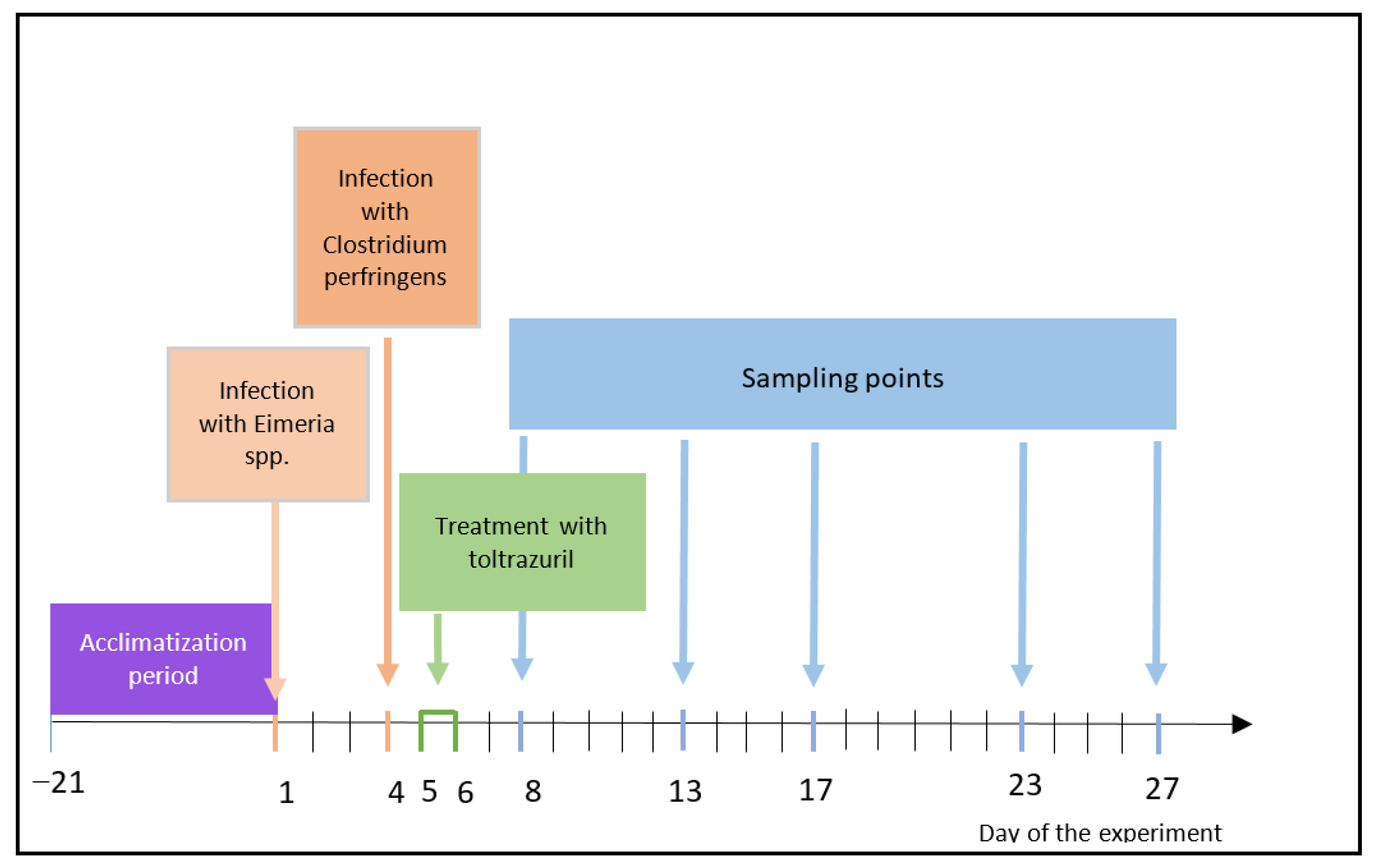 Animals 15 00216 g001