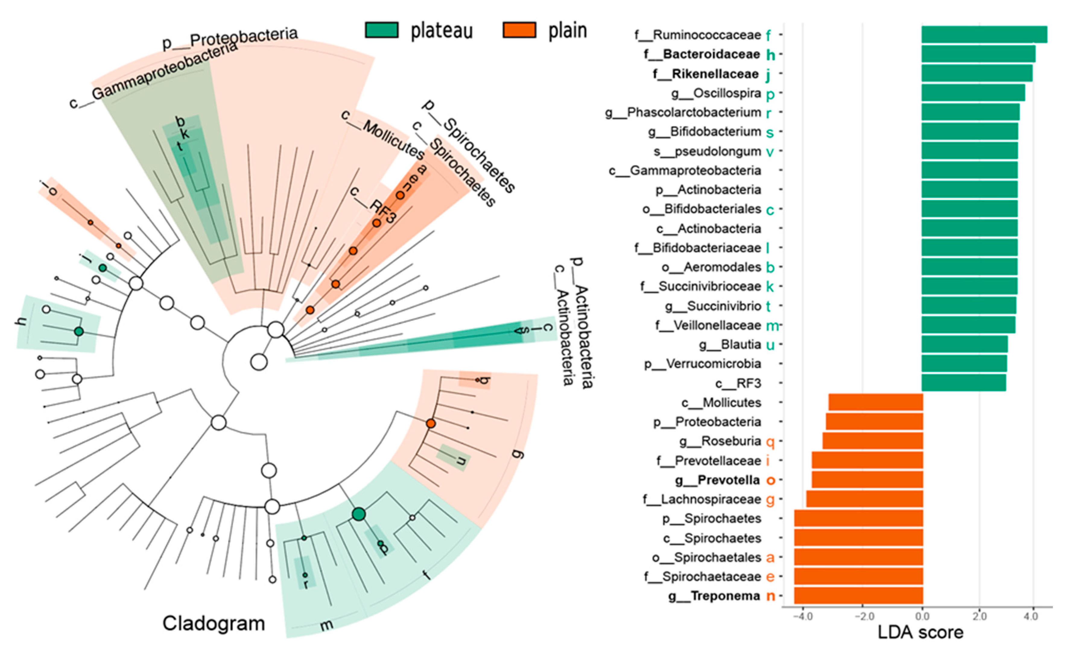 Animals 15 00218 g007 Animals 15 00218 g007