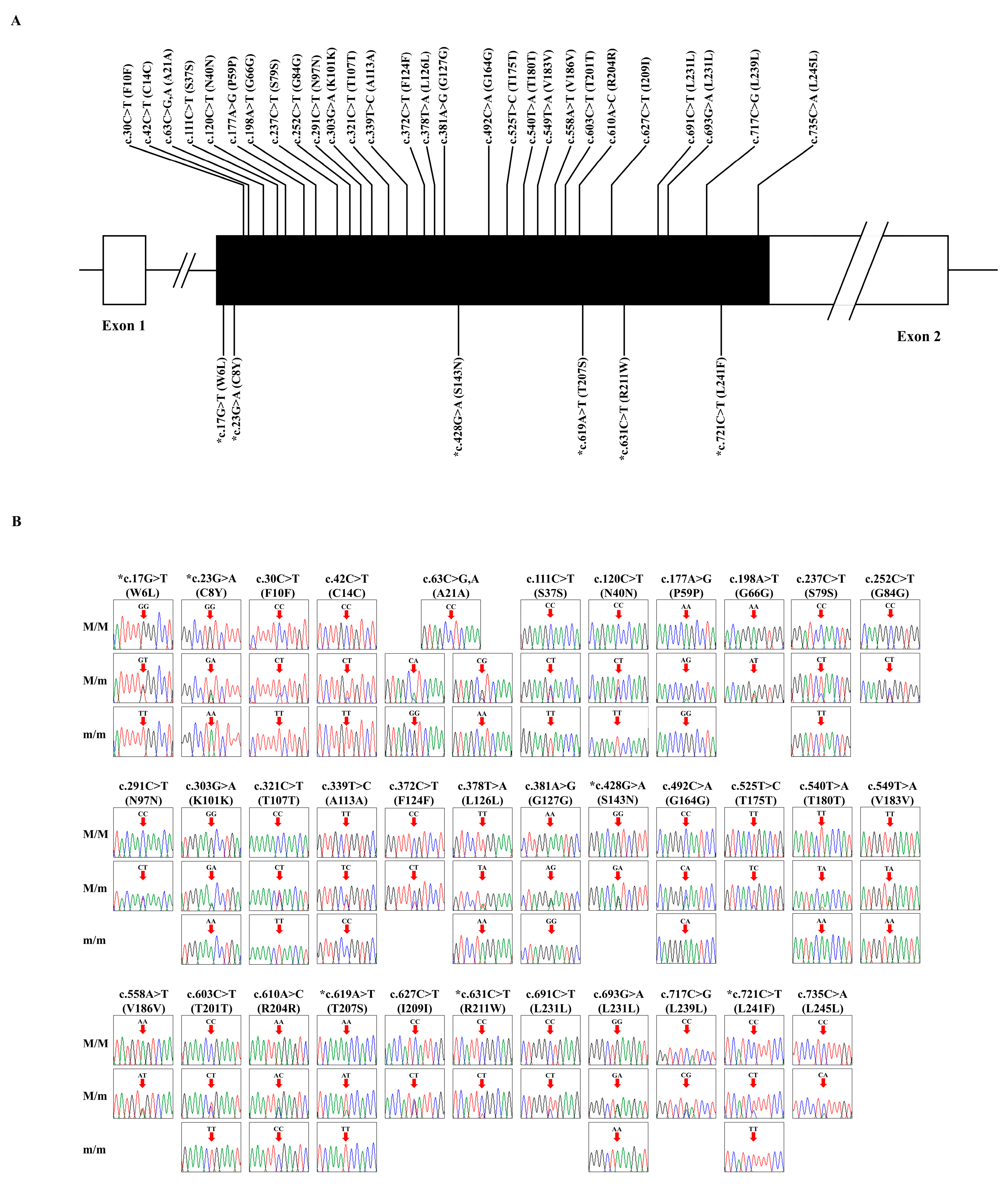 Animals 15 00220 g001 Animals 15 00220 g001