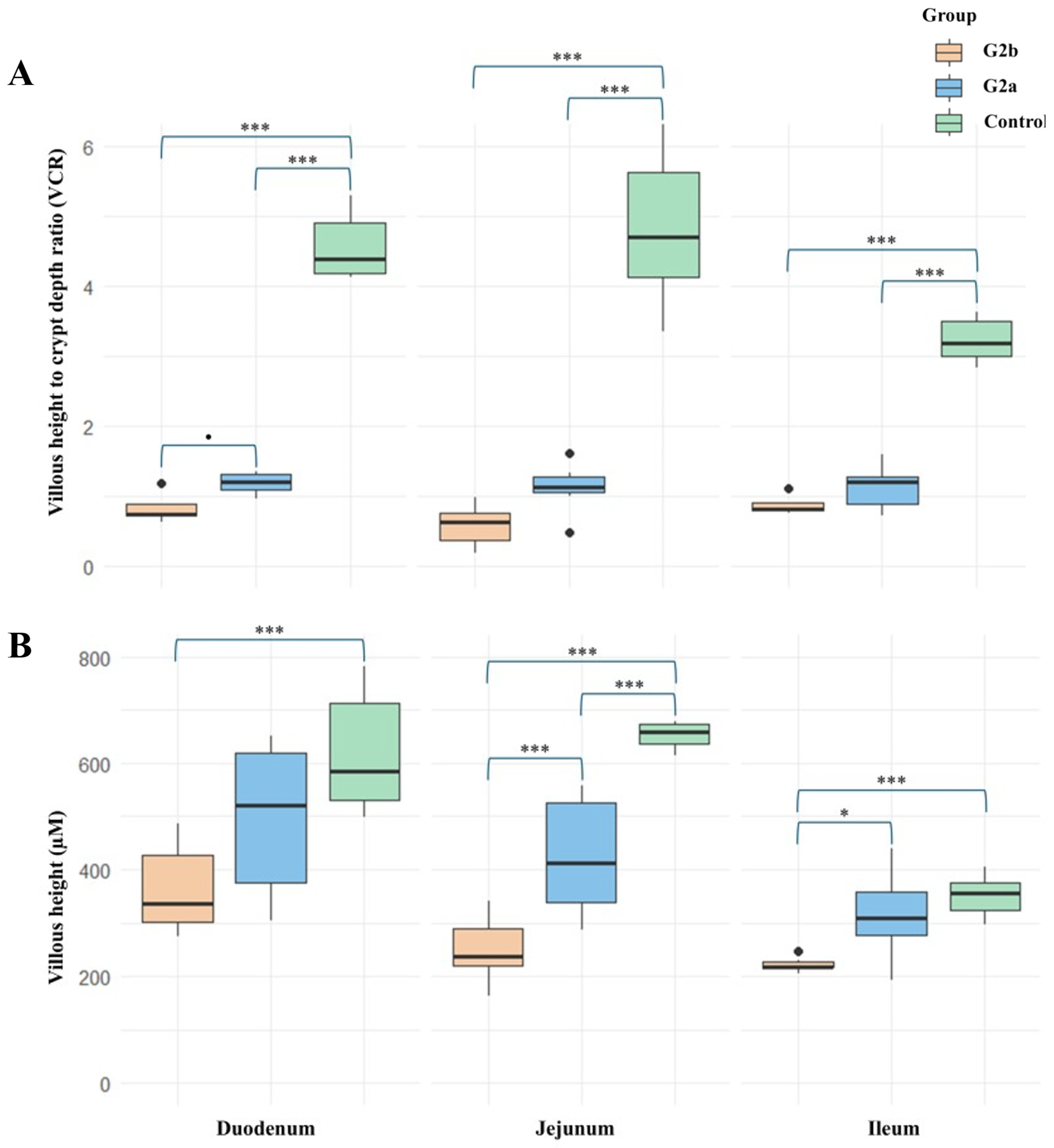 Animals 15 00225 g003