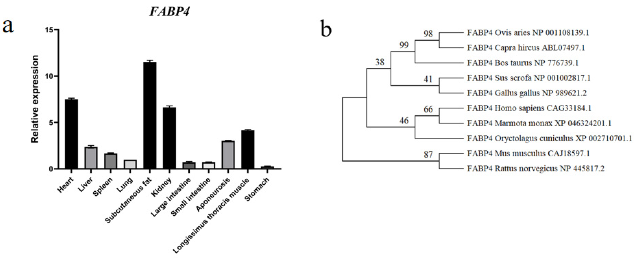 Animals 15 00226 g002 Animals 15 00226 g002