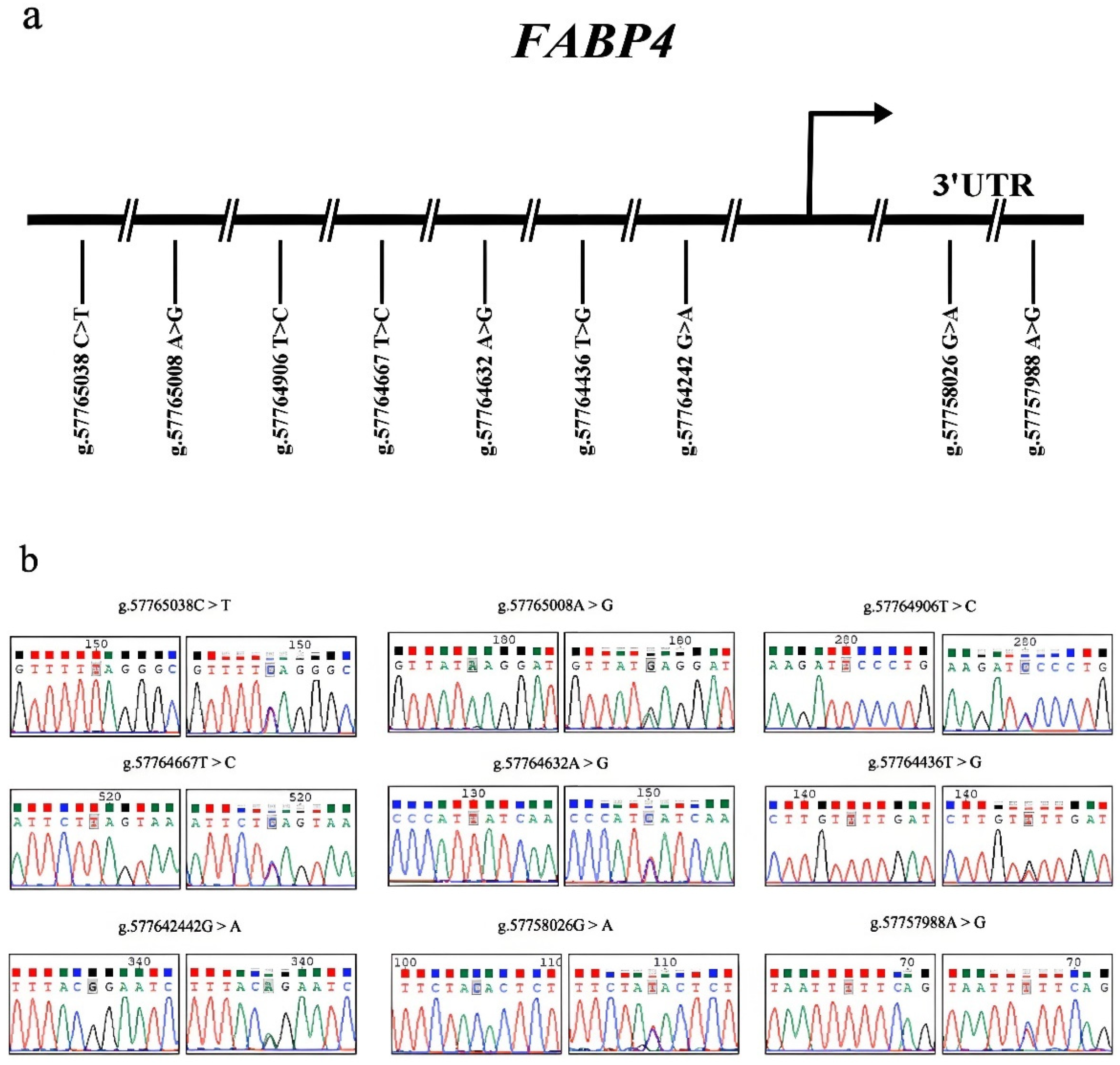 Animals 15 00226 g003 Animals 15 00226 g003