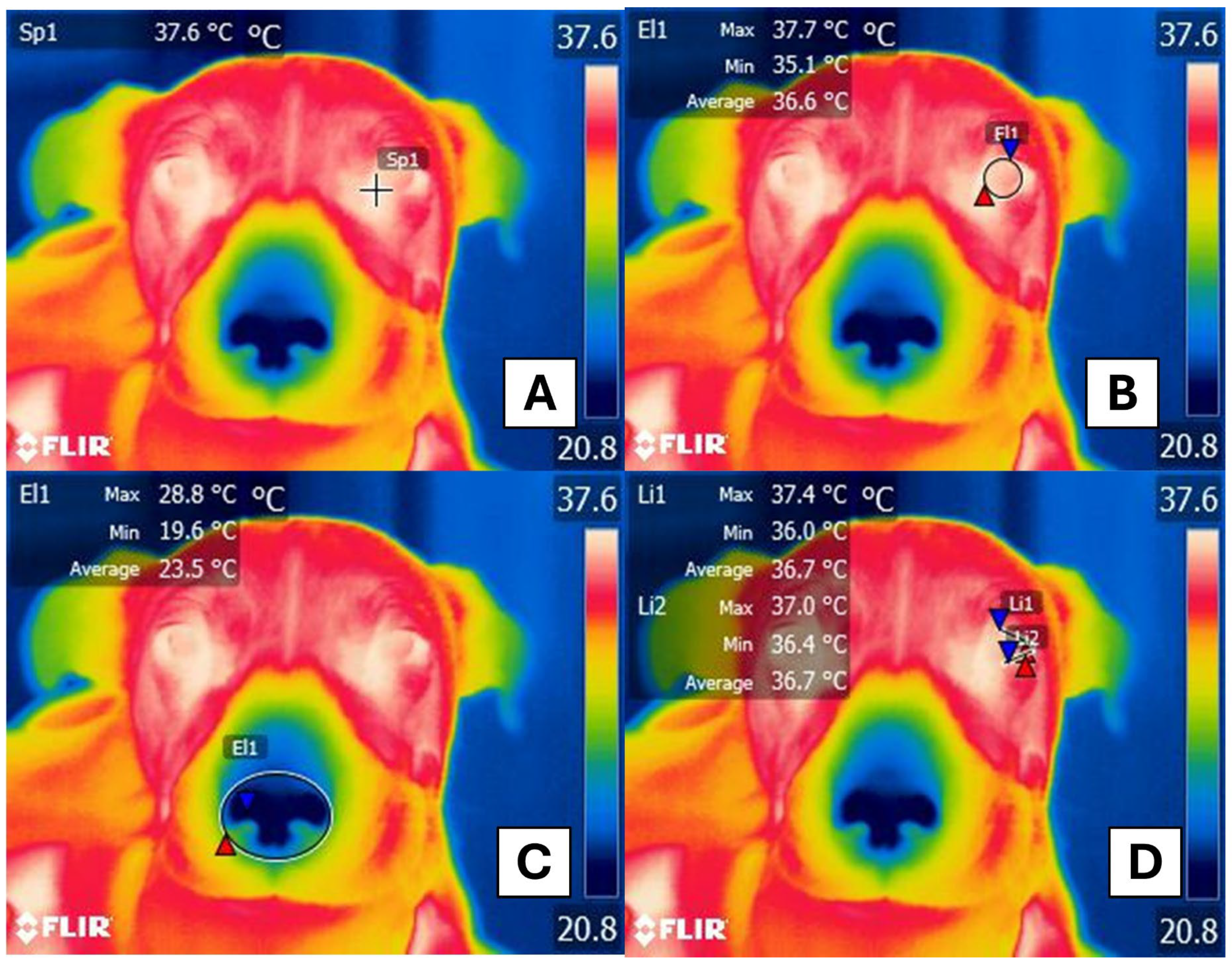 Animals 15 00227 g001