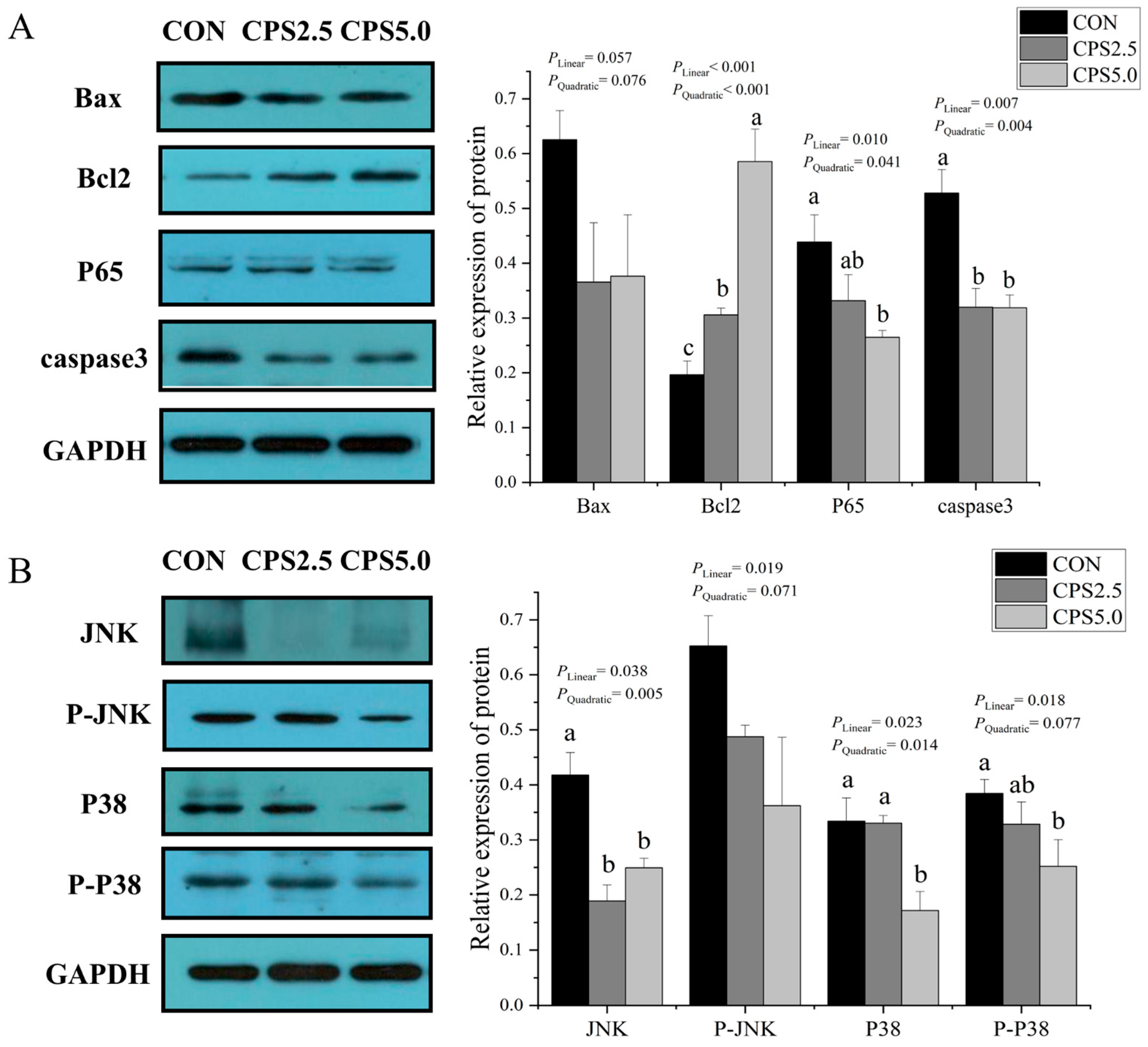 Animals 15 00228 g002