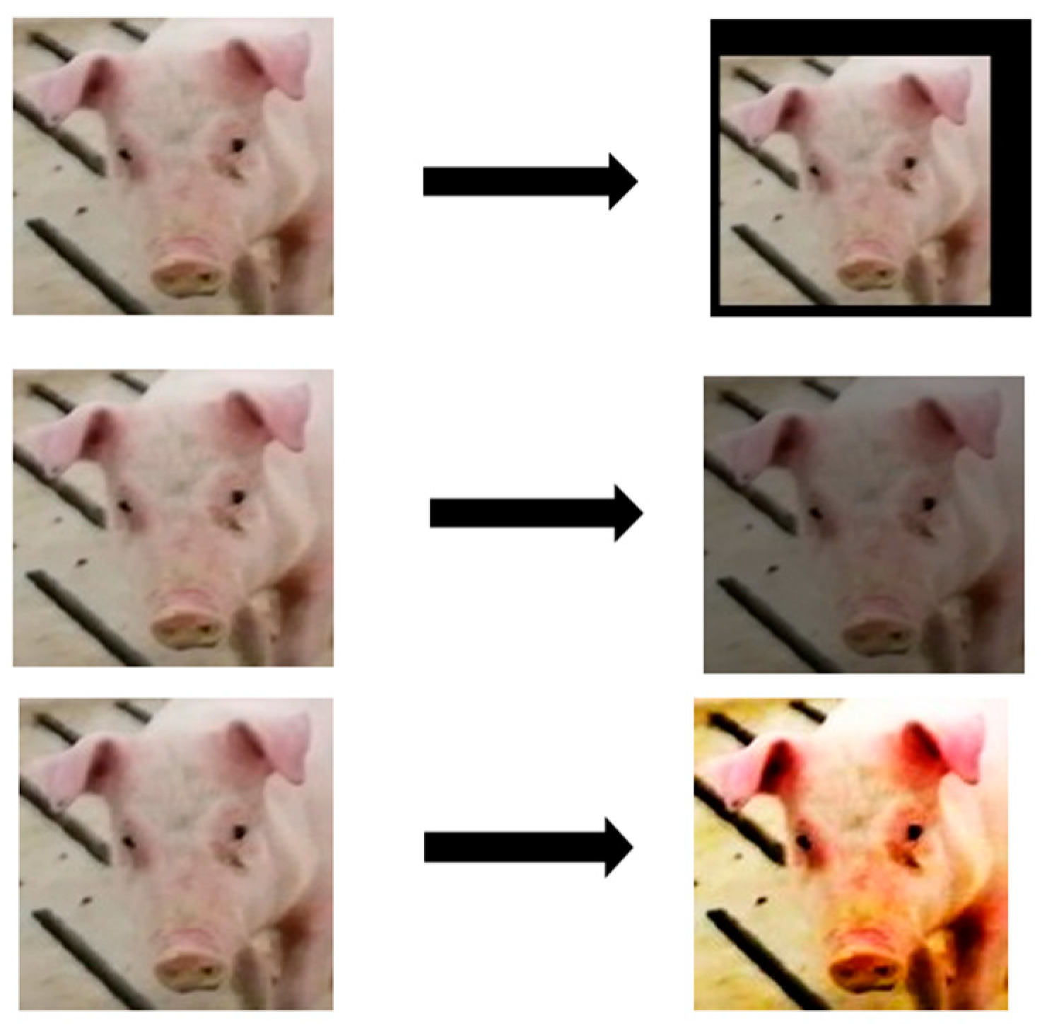 Animals 15 00231 g003